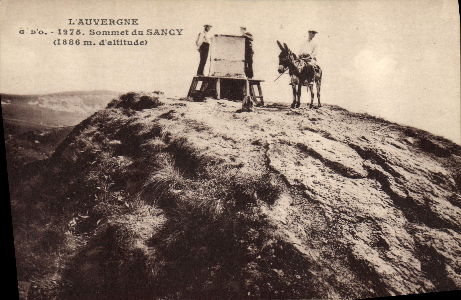 VINTAGE POSTCARD Auvergne Summit of Sancy Ass Mule