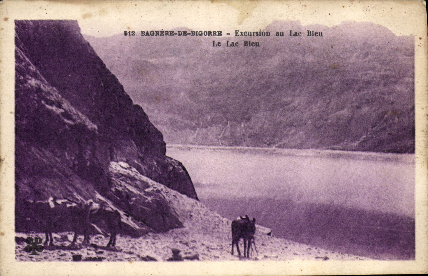 CPA Bagnere De Bigorre Excursion Au Lac Bleu Anes
