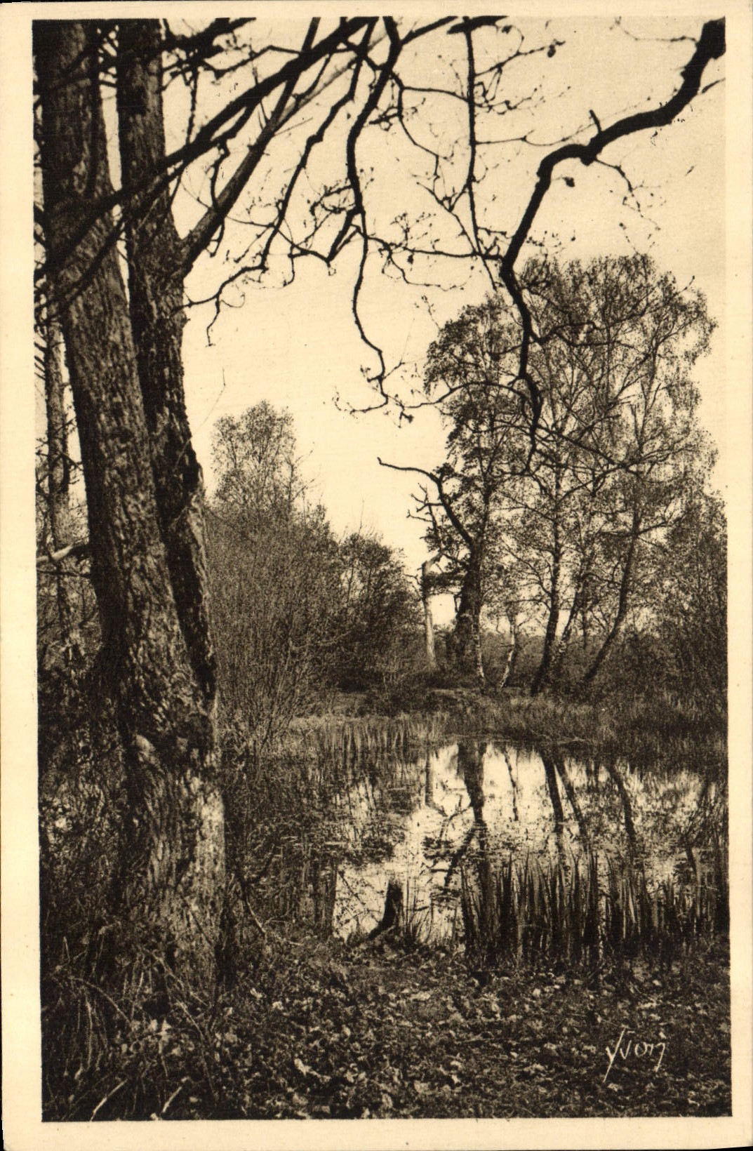 CPA Foret De Fontainebleau La Mare aux Fees