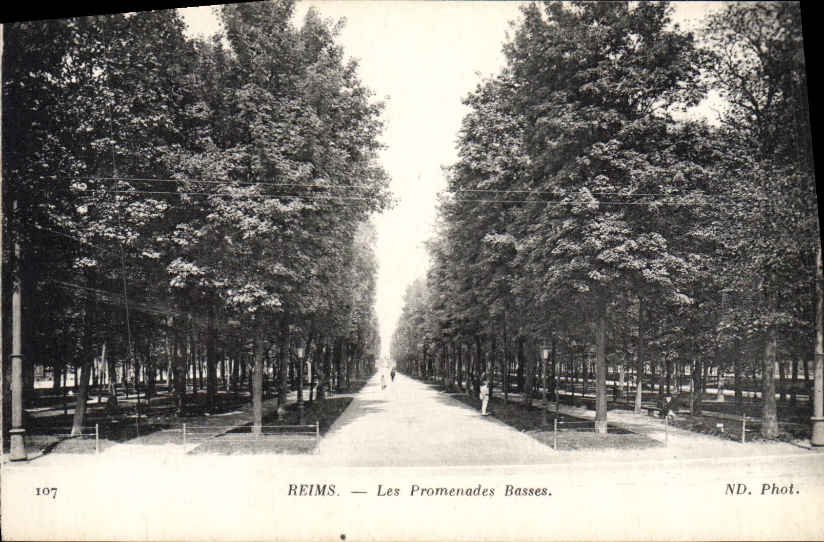 Caminatas del punto bajo de Reims de la POSTAL de la VENDIMIA