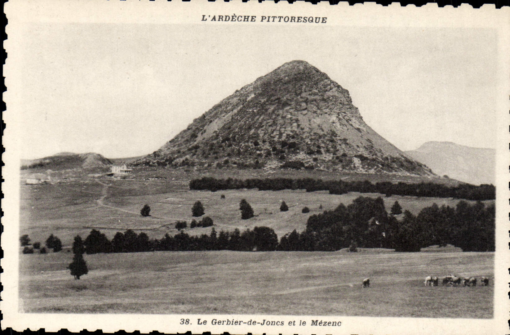 VINTAGE POSTCARD Gerbier de Joncs and Mezenc