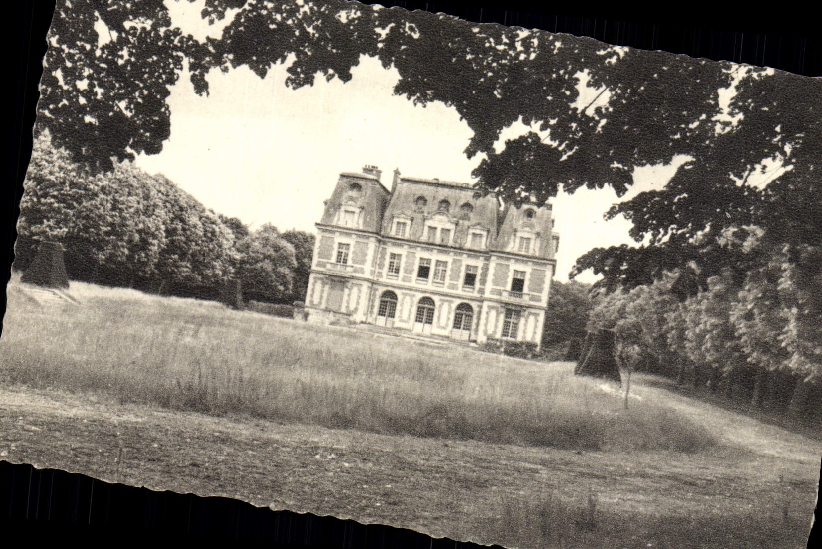 Institución Tilloye Compiegne de Notre Dame de la POSTAL de la VENDIMIA