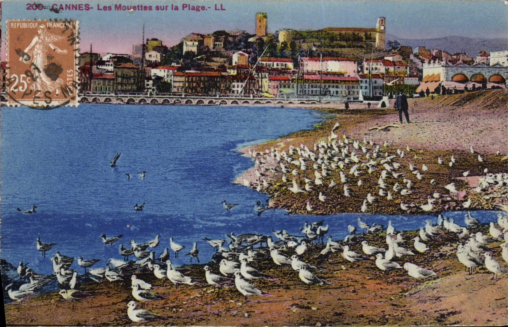 CPA Cannes Les Mouettes sur la Plage