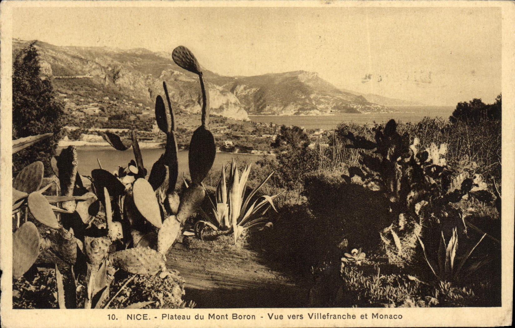 Placa de la POSTAL de la VENDIMIA Niza del montaje del boro visto hacia Villefranche y el cacto de Mónaco