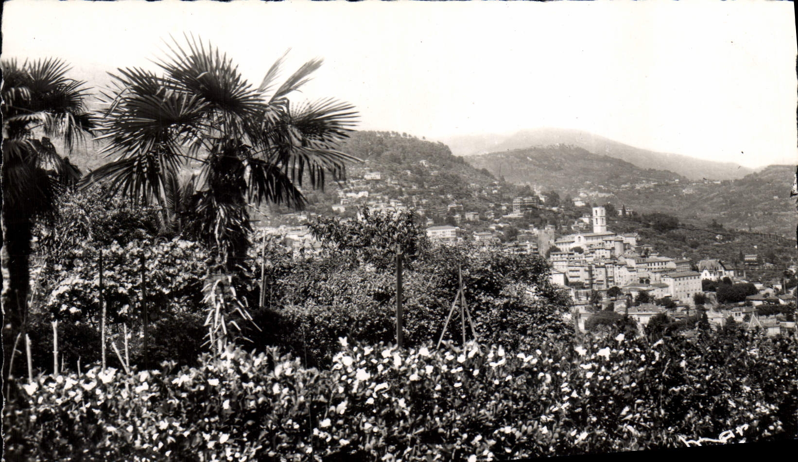 POSTAL MODERNA cuadro total graso