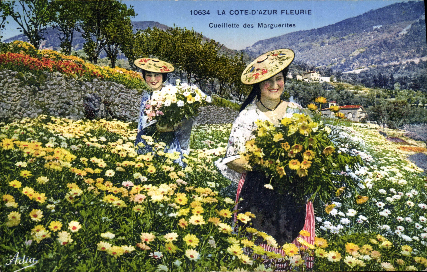 CPA La Cote D'Azur Fleurie Cueillette des Marguerites Femmes Folklore