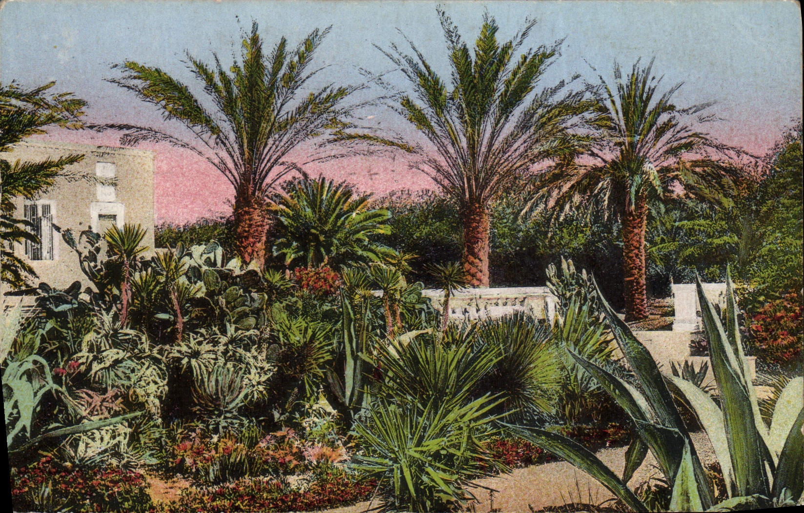 VINTAGE POSTCARD Artistic Flora Garden Villa Palm trees