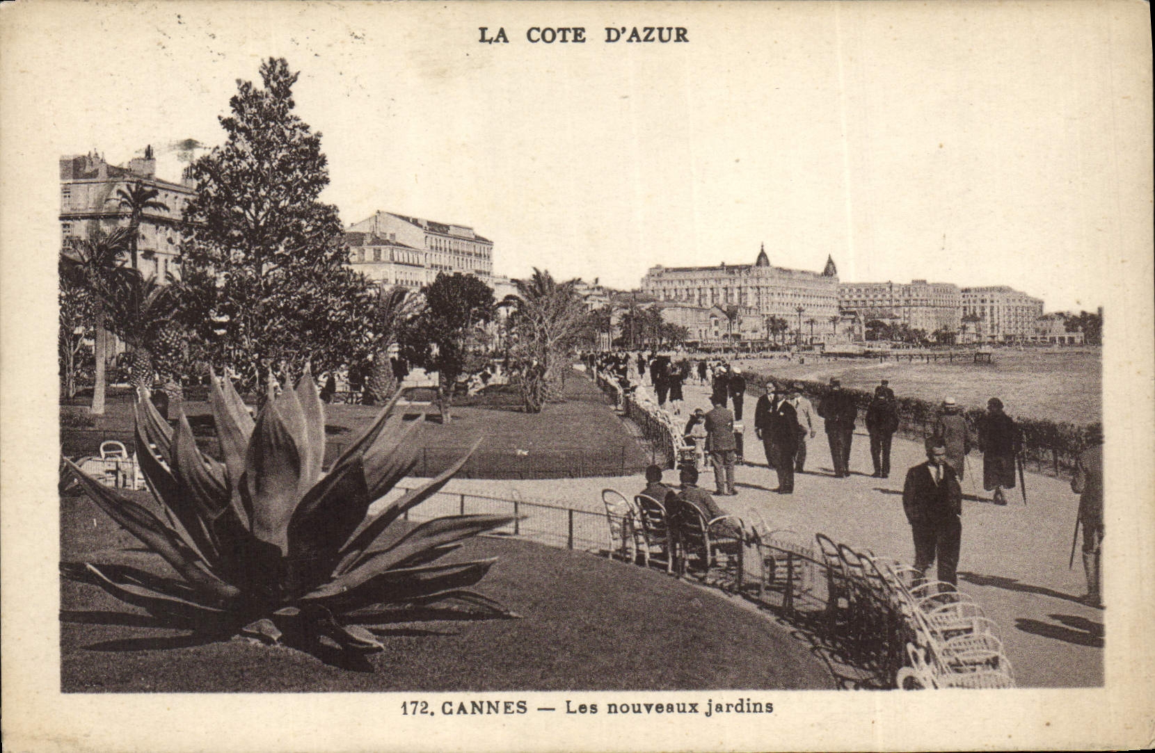 CPA Cannes Les Nouveaux jardins