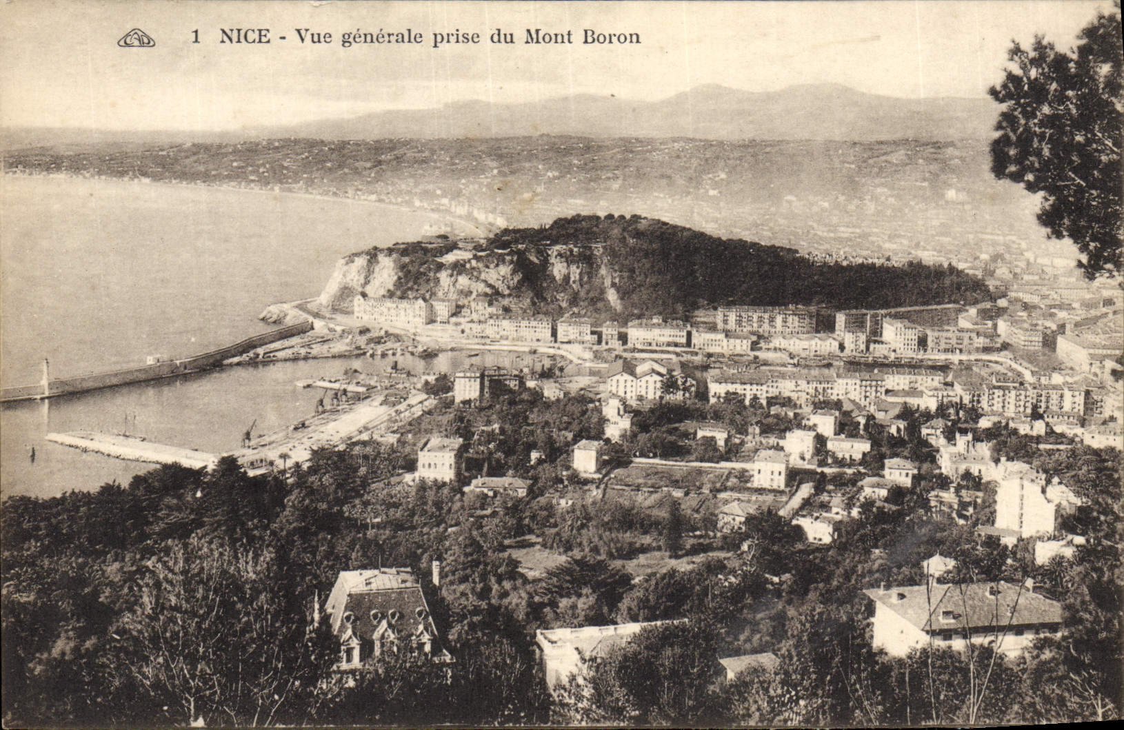 CPA Nice Vue Generale Prise du Mont Boron