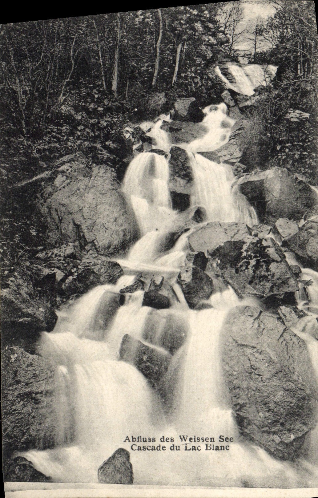 VINTAGE POSTCARD Cascade of the White Lake