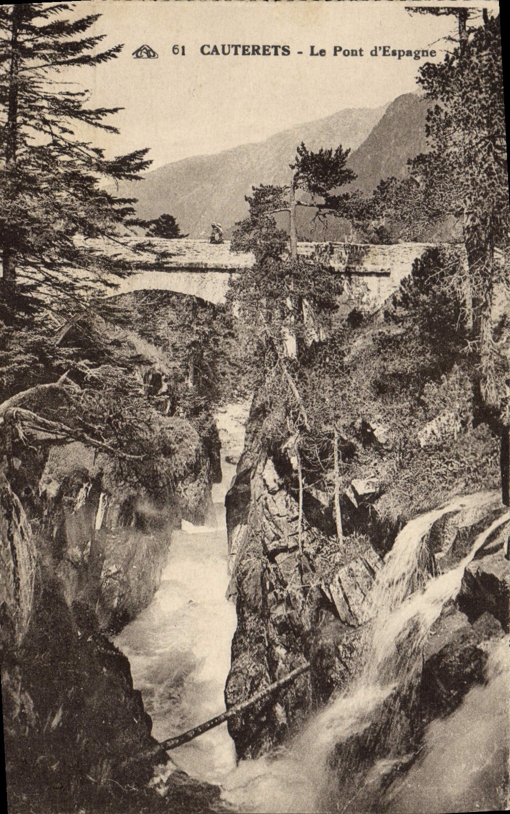 CPA Cauterets Le Pont d'Espagne