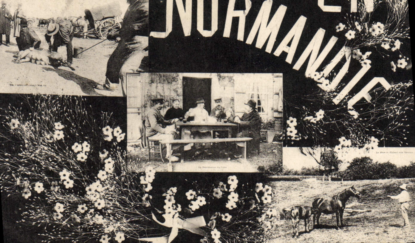 CPA Normandie cochon Porc Cheval Folklore