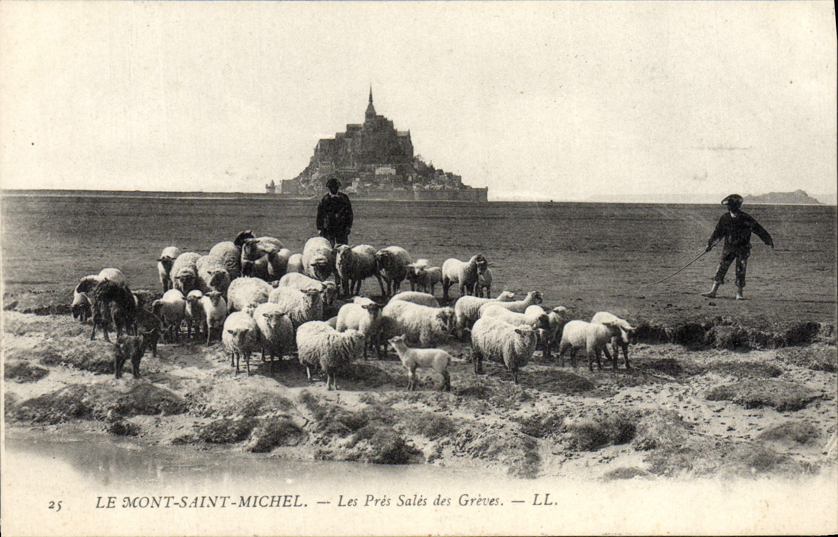 VINTAGE POSTCARD Mont Saint Michel Close Dirty of the Strikes Shepherd Sheep