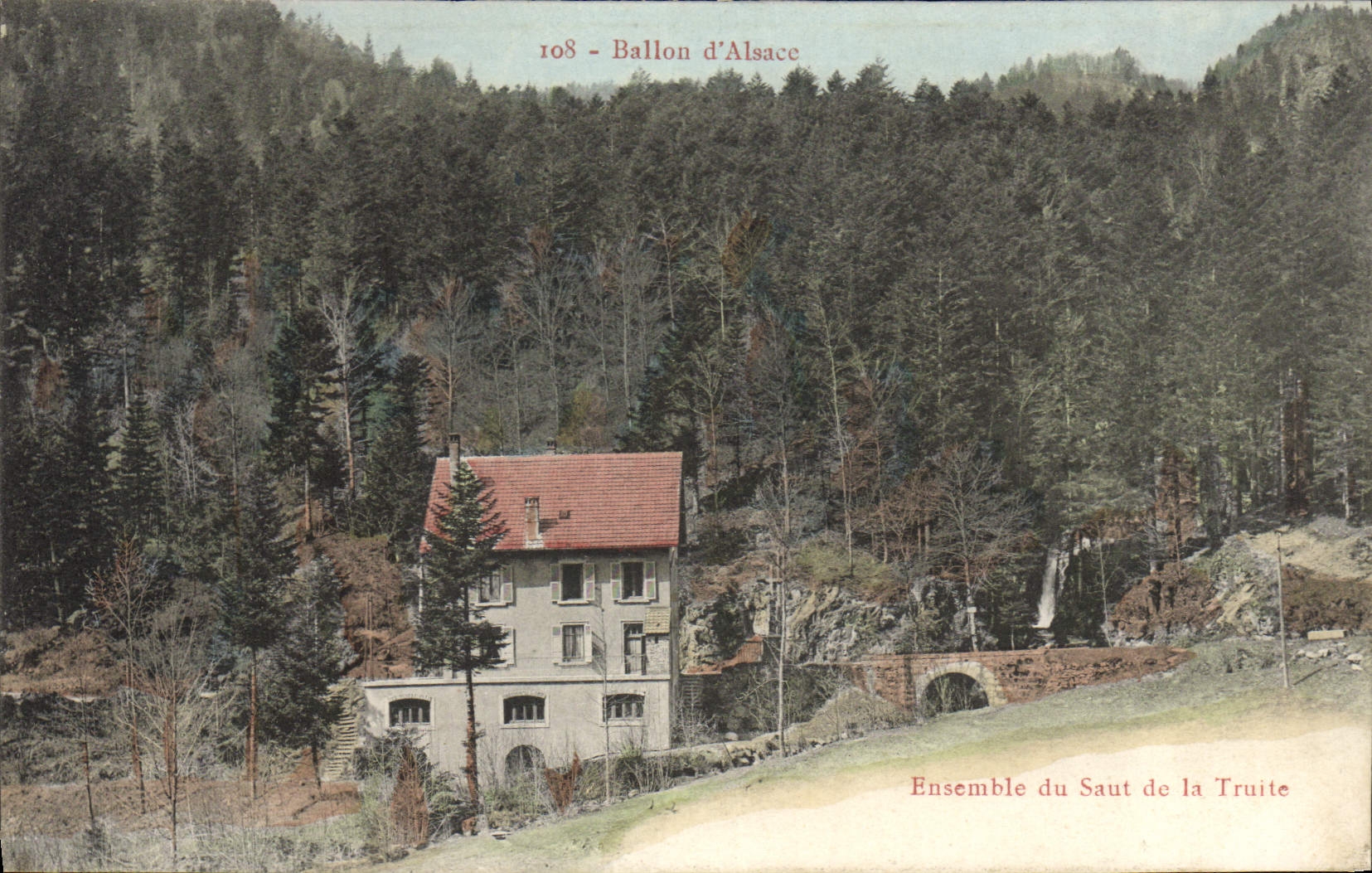 VINTAGE POSTCARD Together of the jump of the Poisson trout