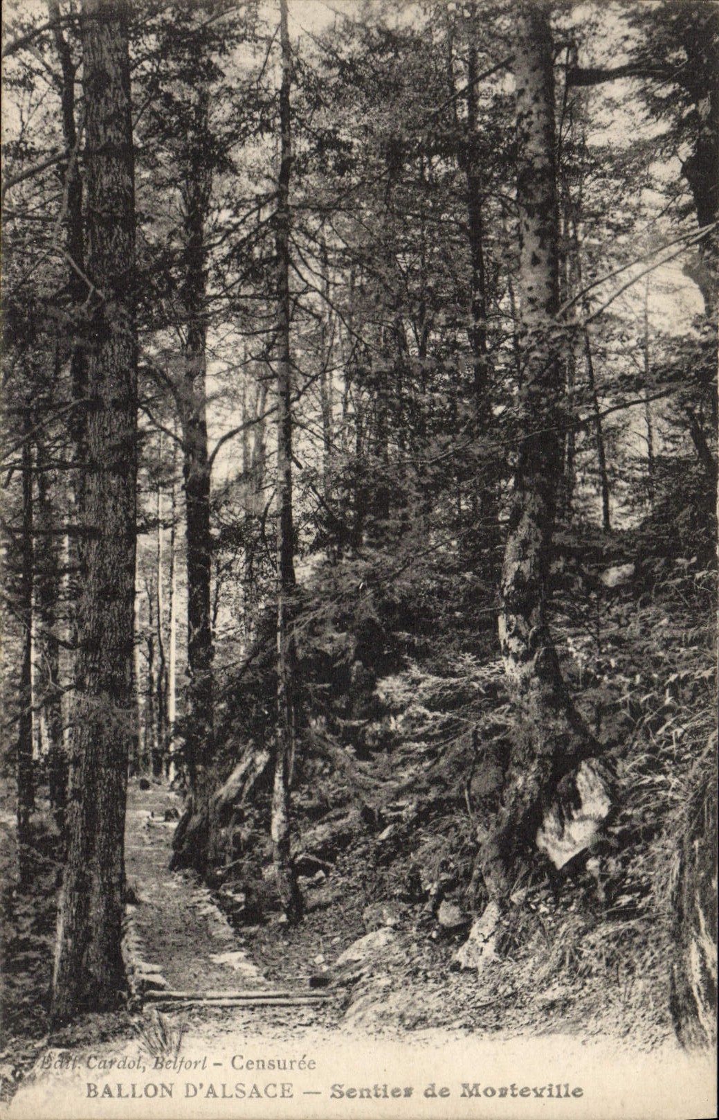 VINTAGE POSTCARD Balloon of Alsace Path of Morteville