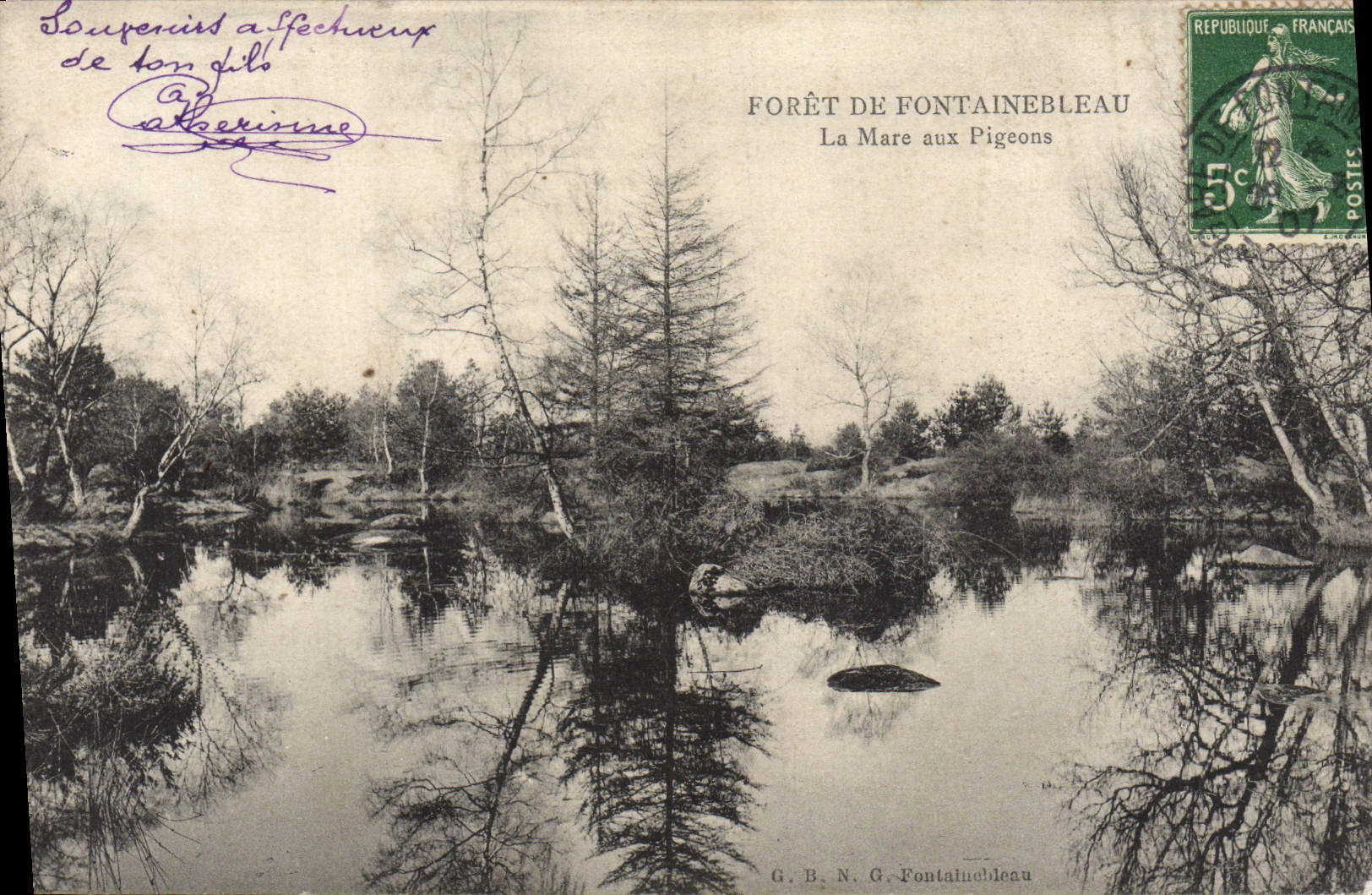 CPA Foret de Fontainebleau La Mare aux Pigeons