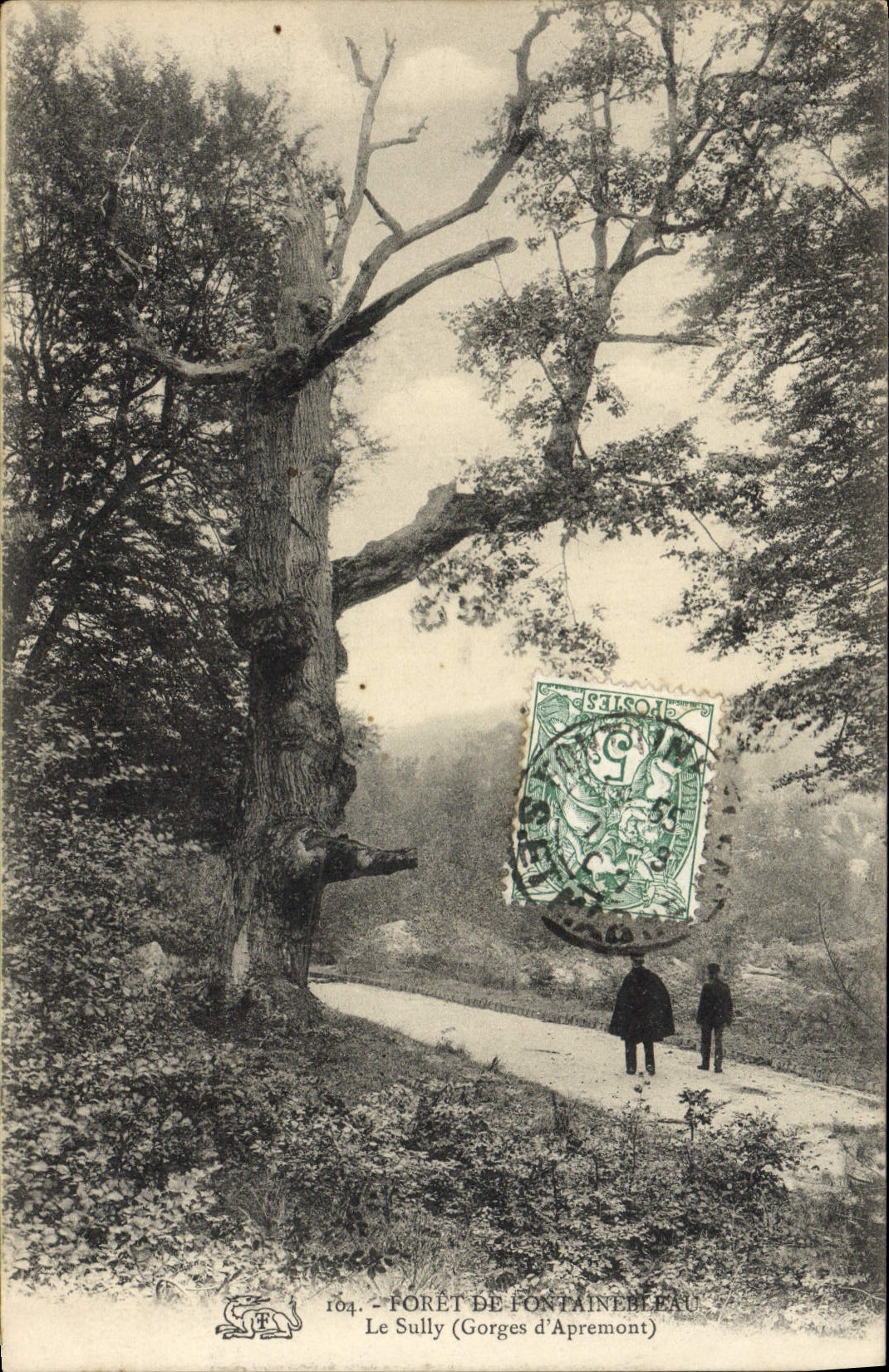 CPA Foret de Fontainebleau Le Sully Arbre Gorges d'Apremont 