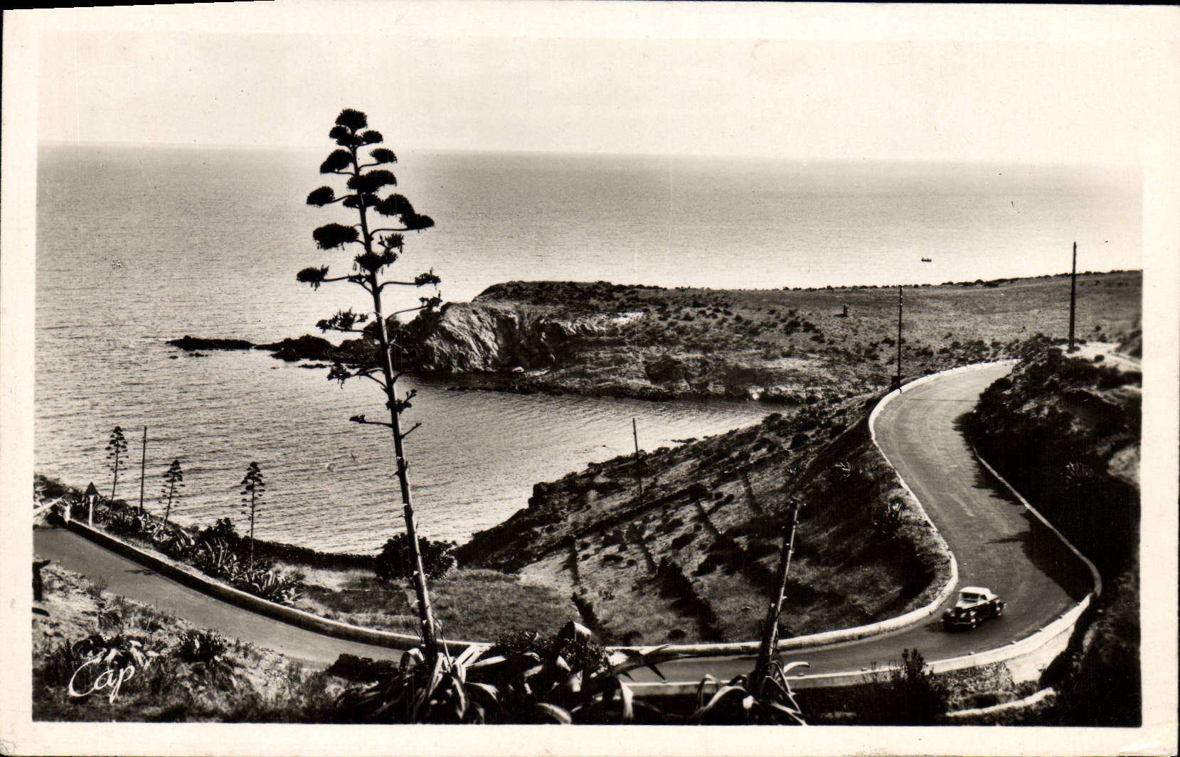 CPM La Cote Vermeille Collioure Route de la corniche