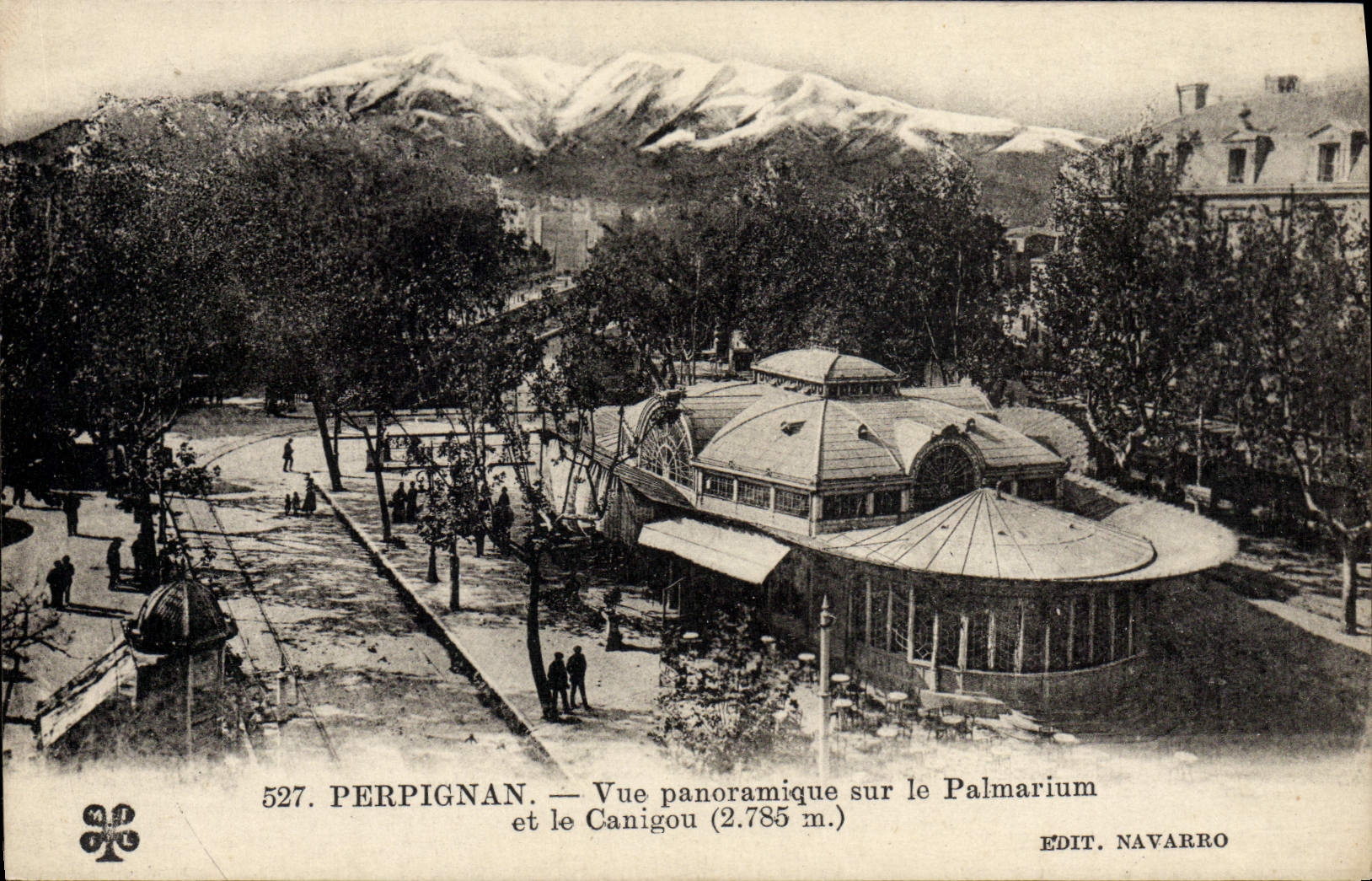 VINTAGE POSTCARD Perpignan Panoramic View on the Palm house and Canigou
