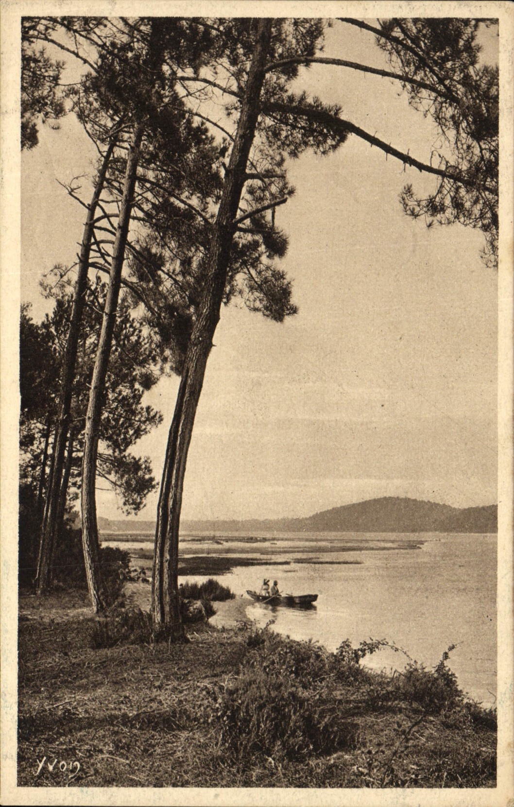 CPA Landes Arbres Plage 