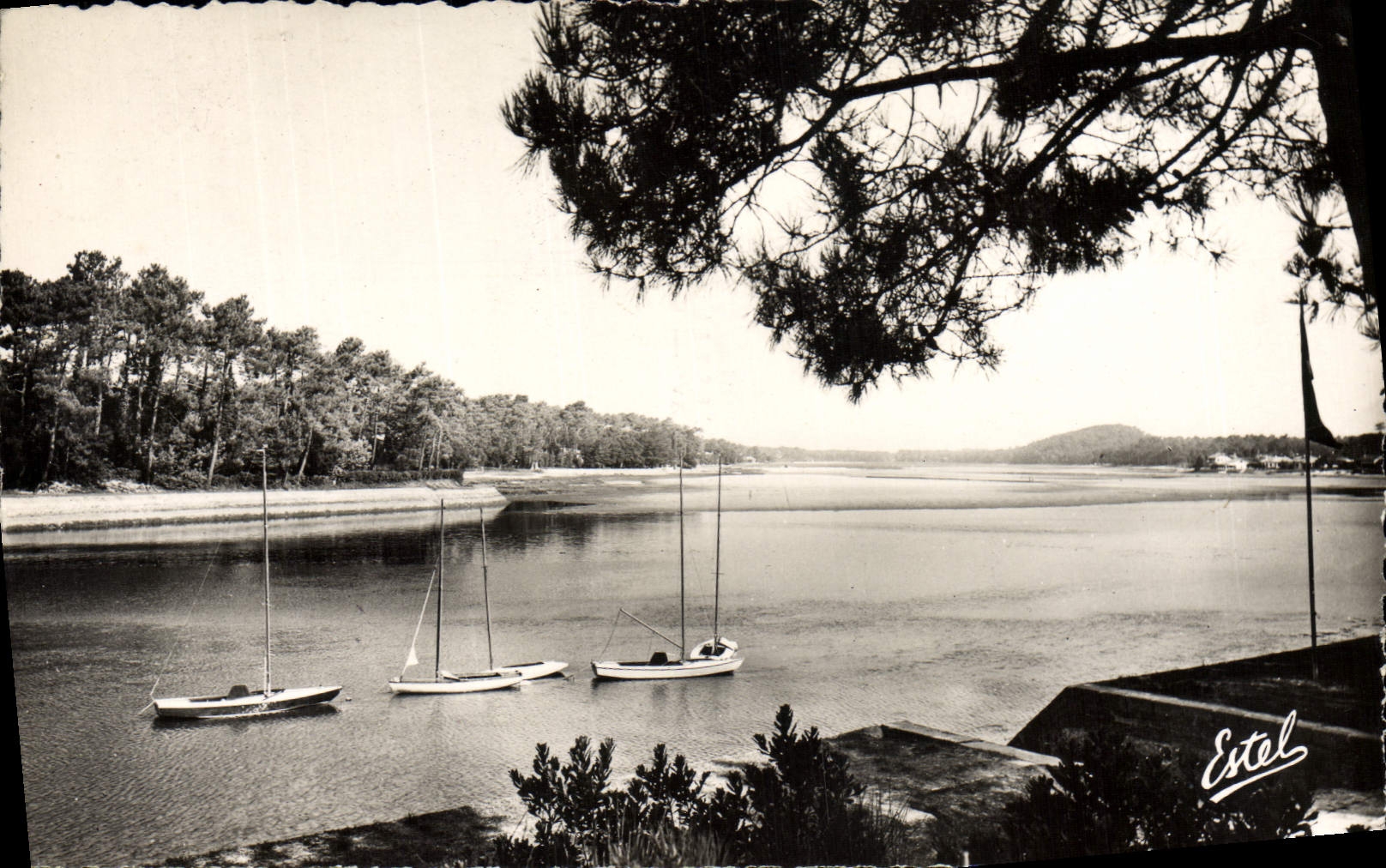 CPM Le lac et la foret 