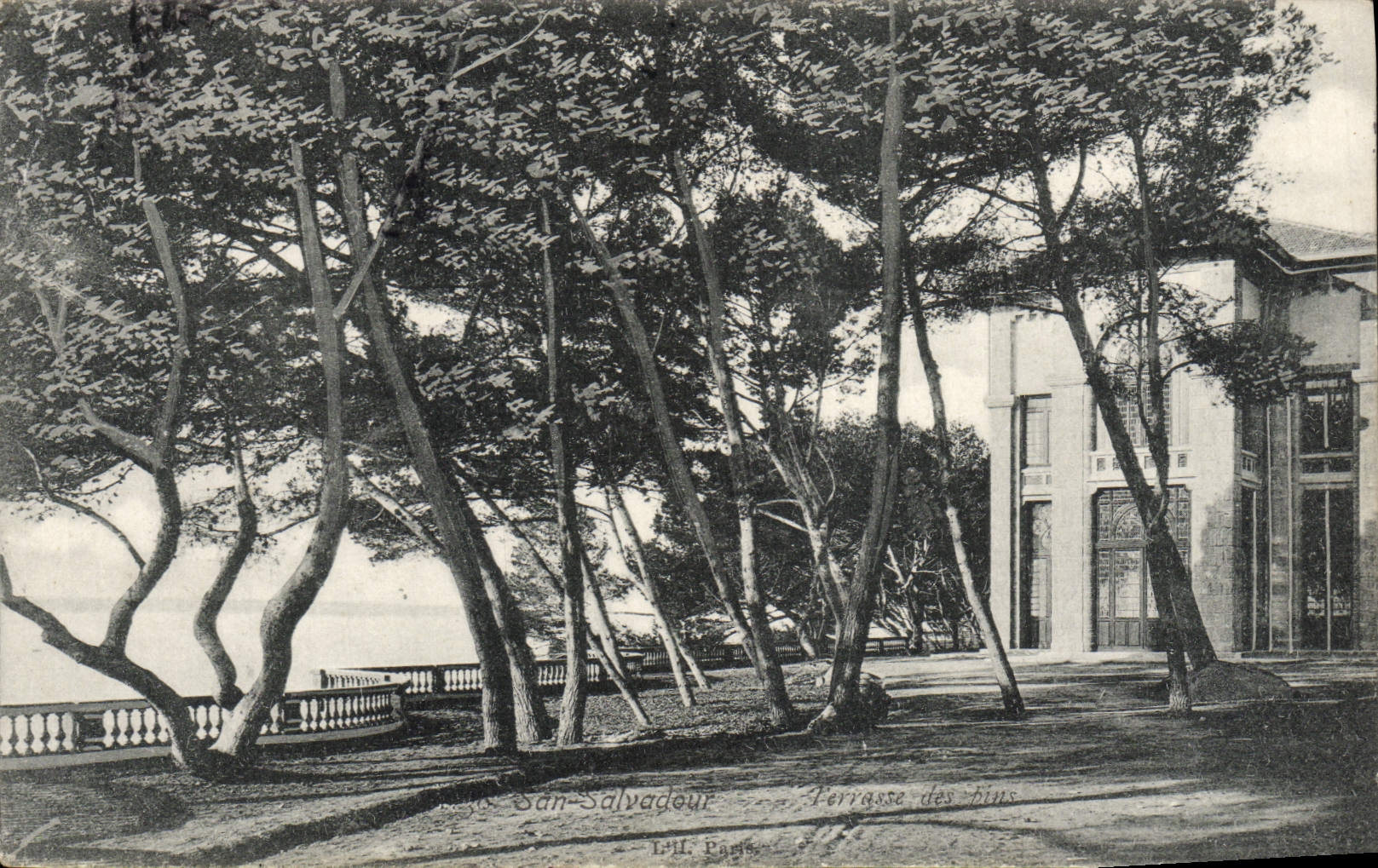 VINTAGE POSTCARD San Salvadour Terrace of the pines