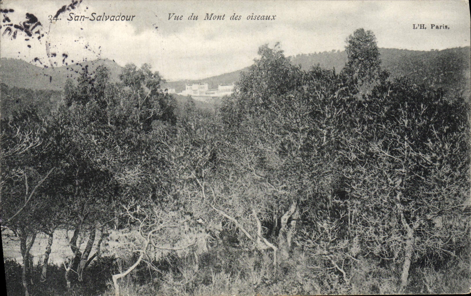 CPA San Salvadour Vue du Mont des Oiseaux