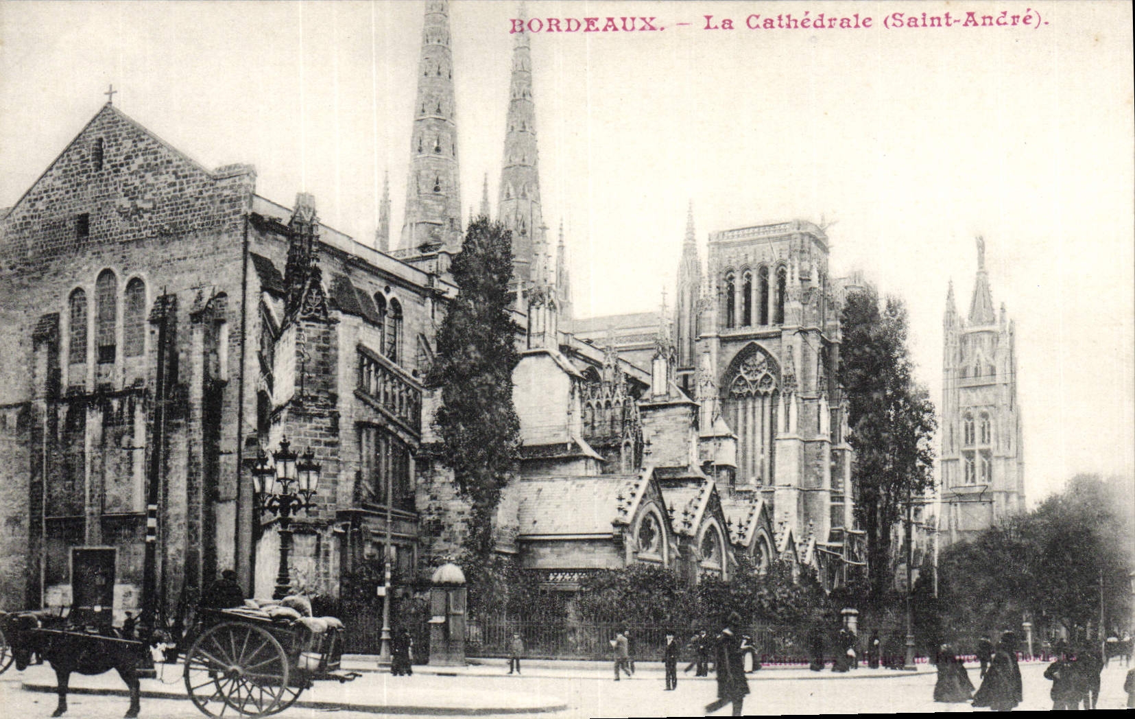 Burdeos de la POSTAL de la VENDIMIA la mula del asno del coche de la catedral