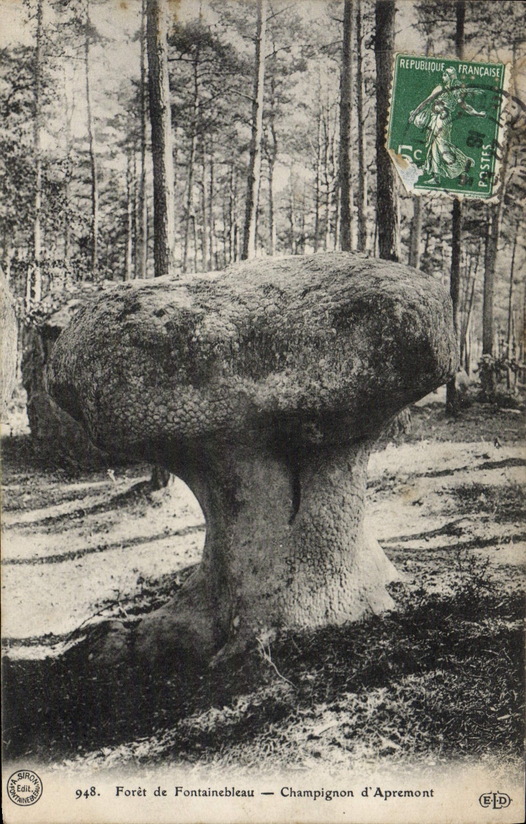 VINTAGE POSTCARD Drill De Fontainebleau Mushroom of Apremont
