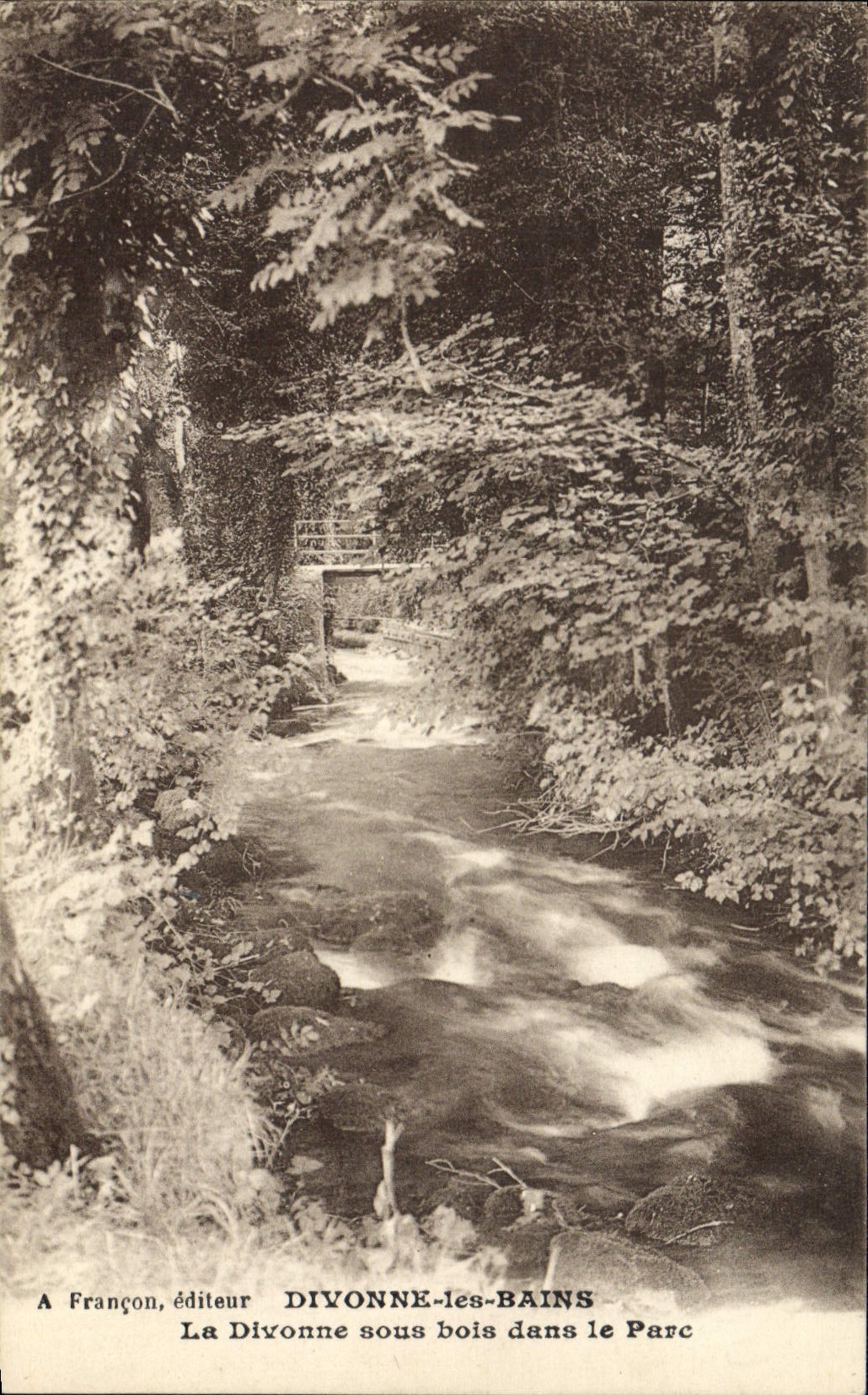 VINTAGE POSTCARD Divonne Les Bains Divonne Under Wood In the Park