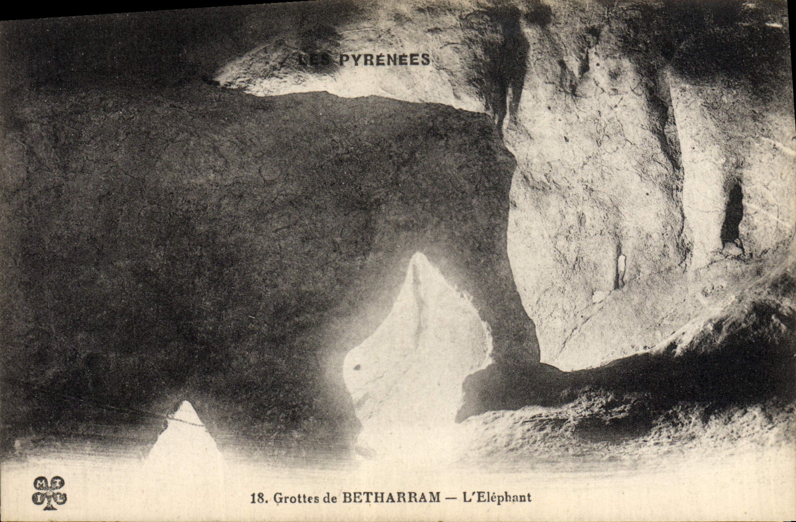 VINTAGE POSTCARD Caves of Betharram the Elephant Elephant