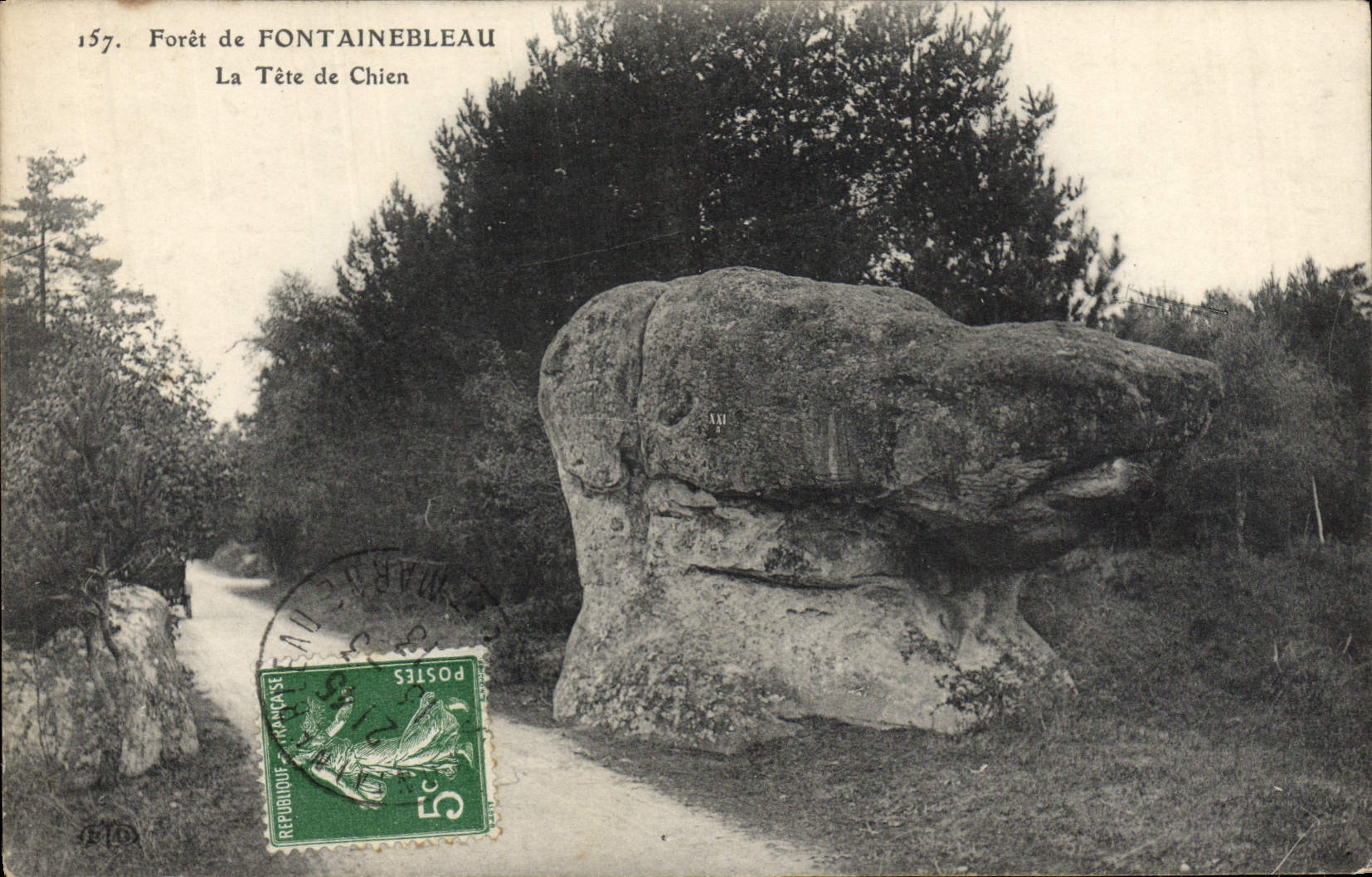 CPA Foret de Fontainebleau La Tete de Chien