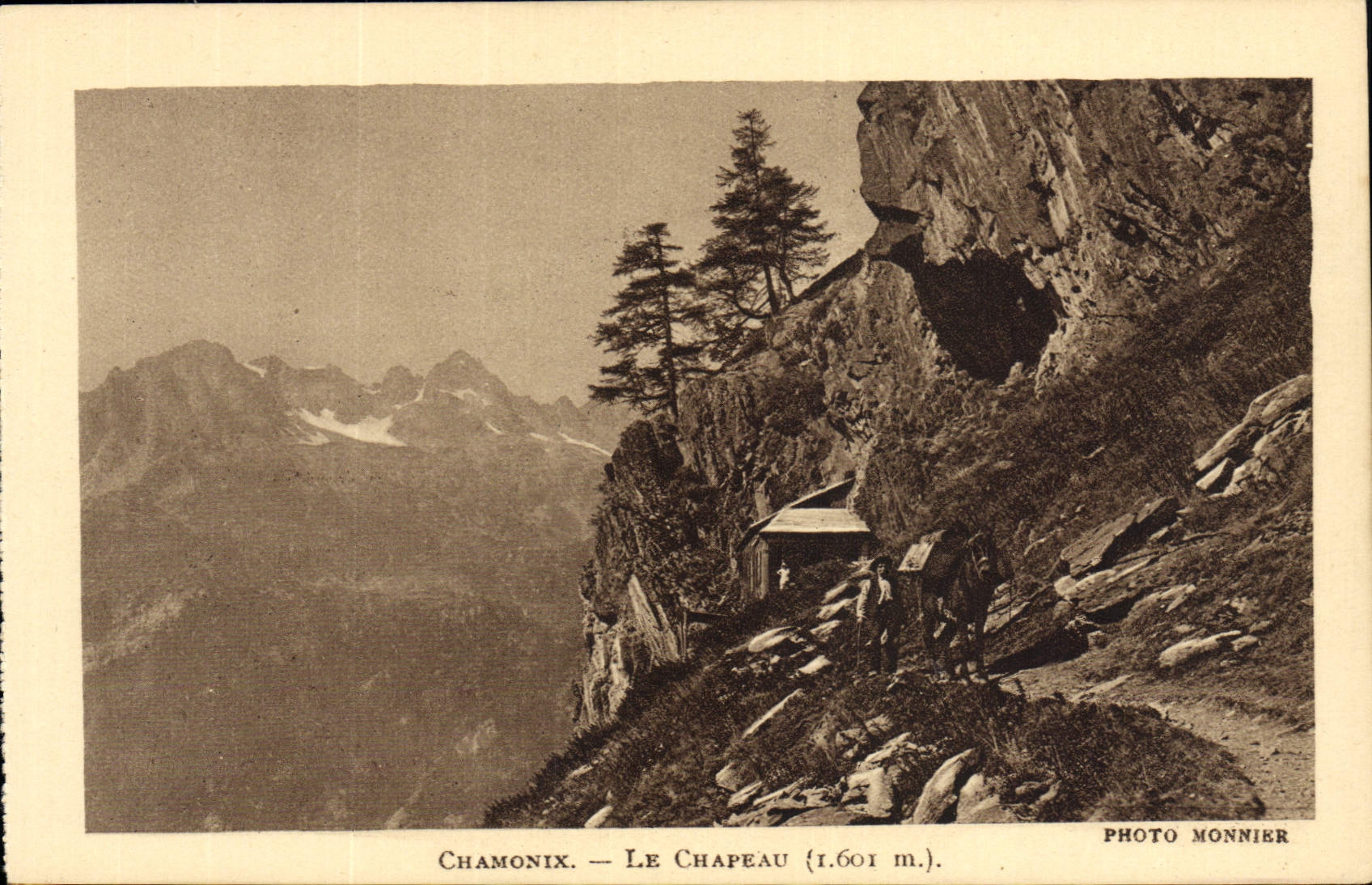 CPA Chamonix La Chateau Ane 