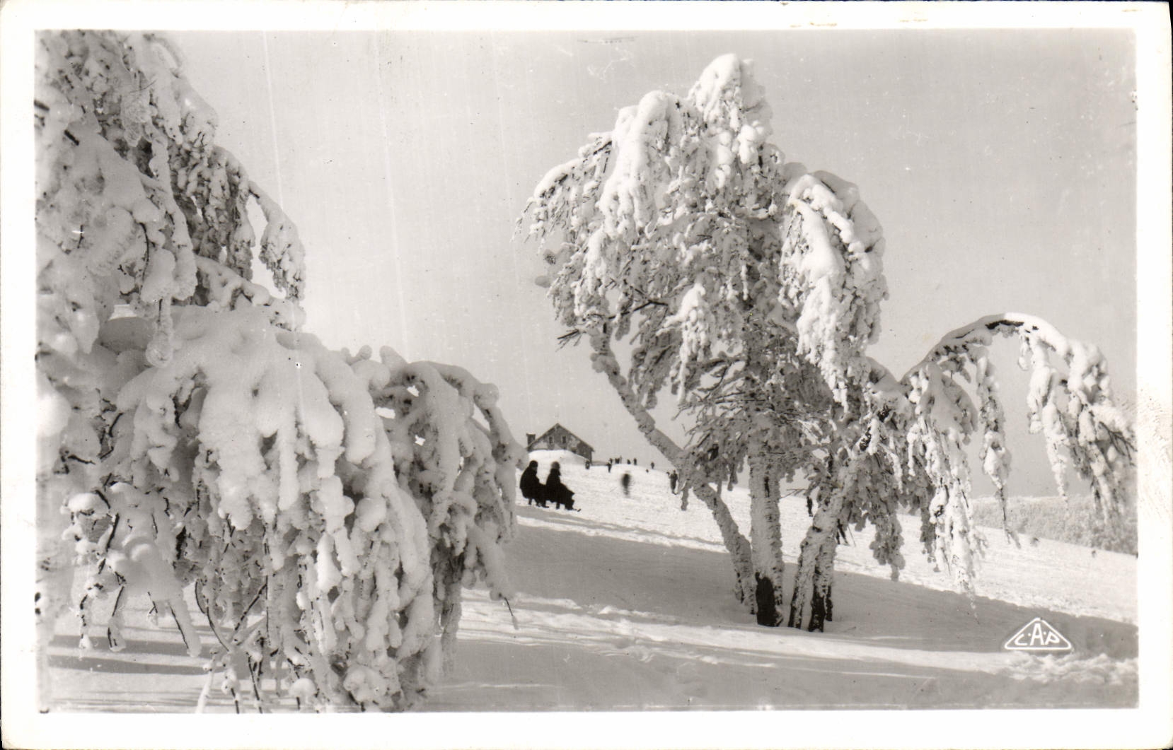 Deportes de los paisajes y de invierno de la POSTAL de la VENDIMIA