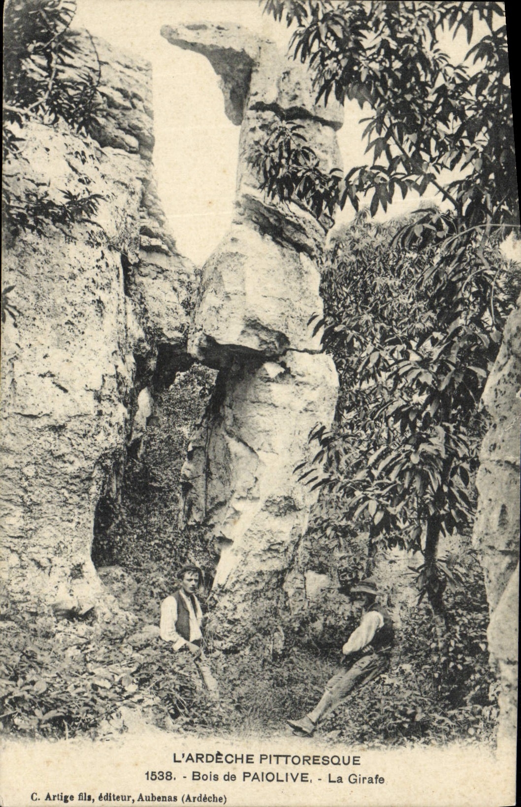 VINTAGE POSTCARD Picturesque Ardeche Wood of Paiolive the Giraffe