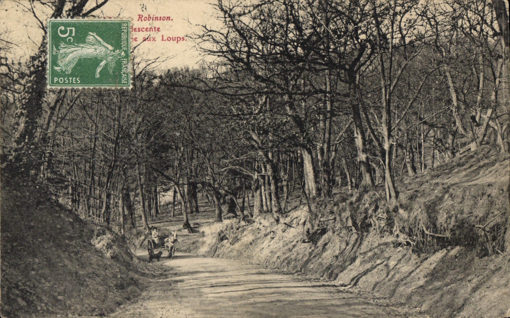 VINTAGE POSTCARD Robinson with the Wolves Wolves Coach Horse