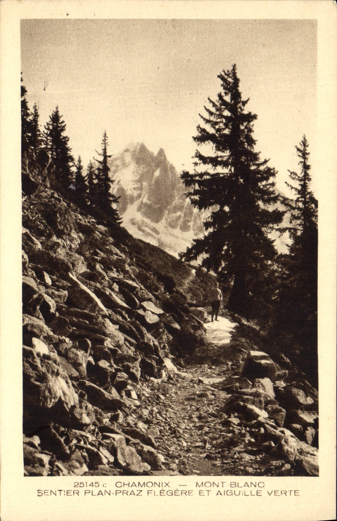 CPA Chamonix Mont Blanc Sentier Plan Praz Flegere et Aiguille Verte