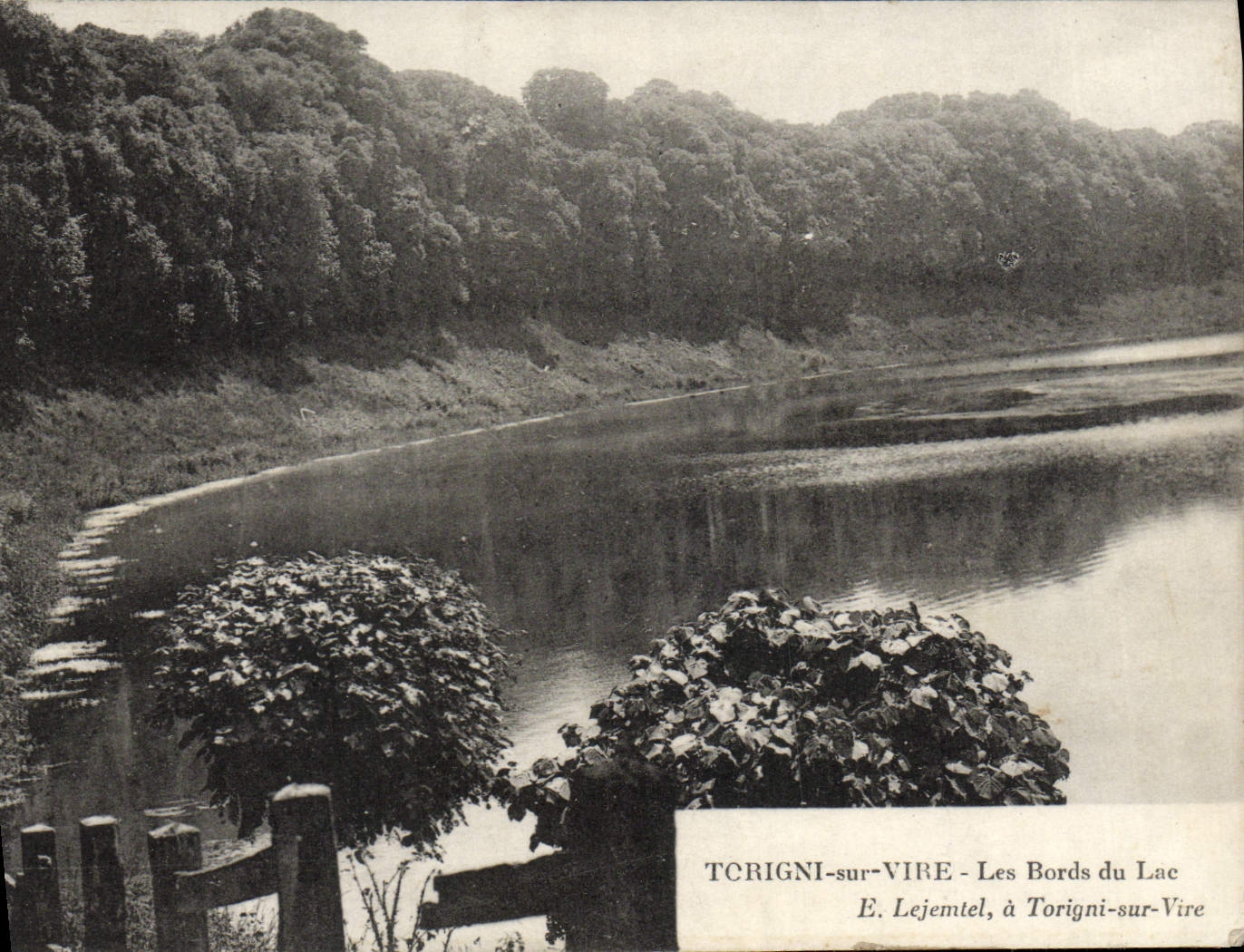 VINTAGE POSTCARD Torigni On Transfers the Edges of the Lake