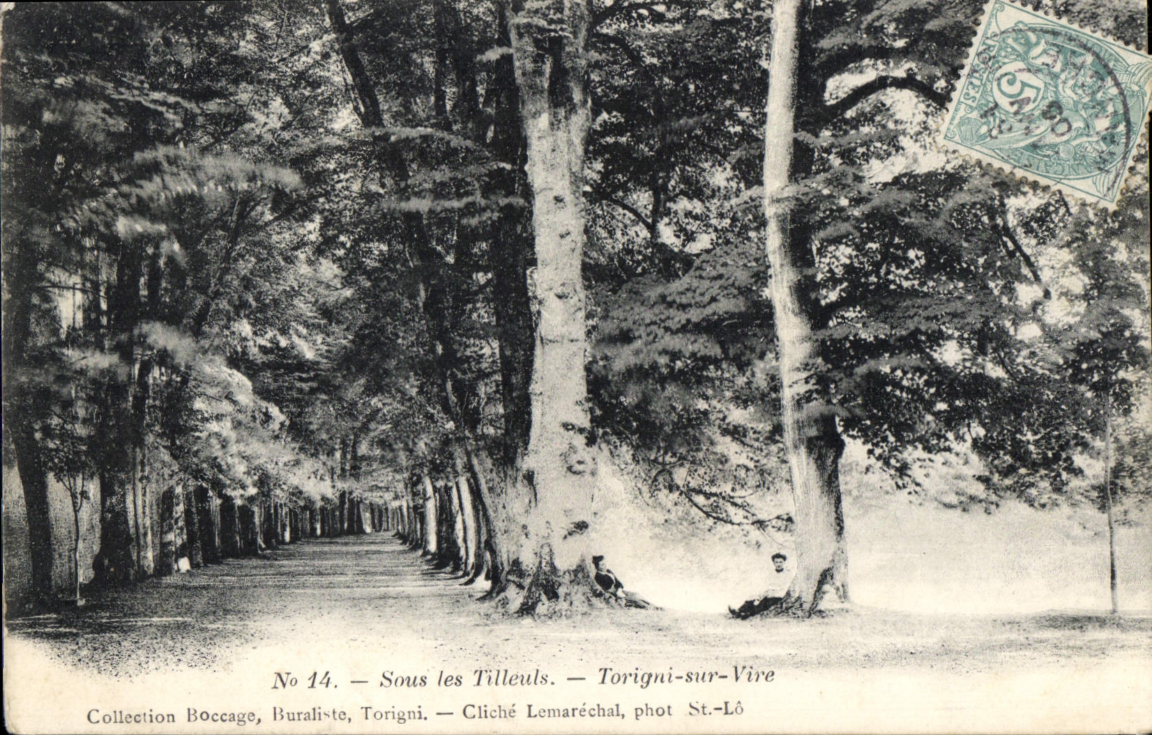 CPA Sous les Tilleuls Torigni sur Vire