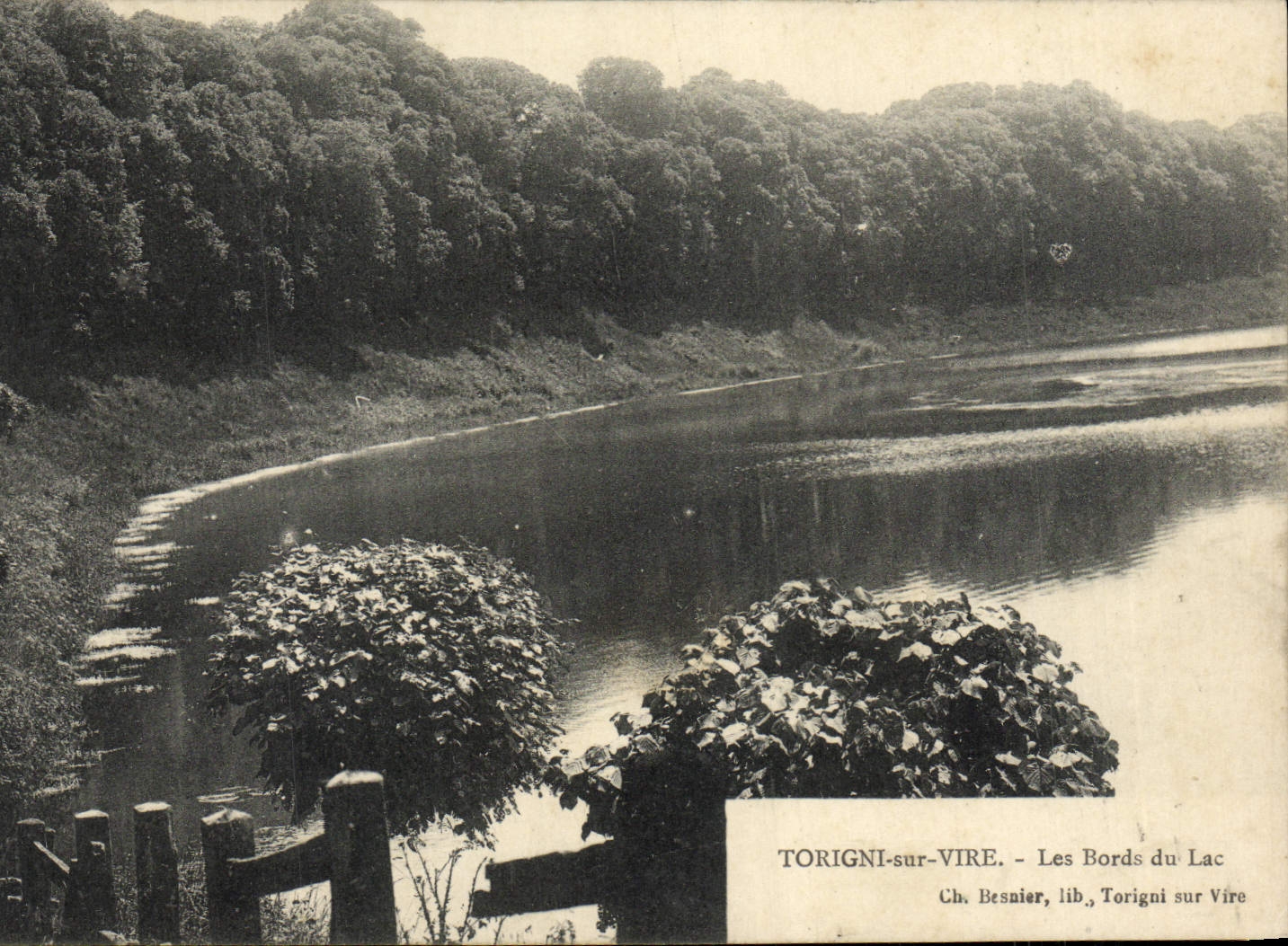 CPA Toringni sur Vire Les Bords du Lac