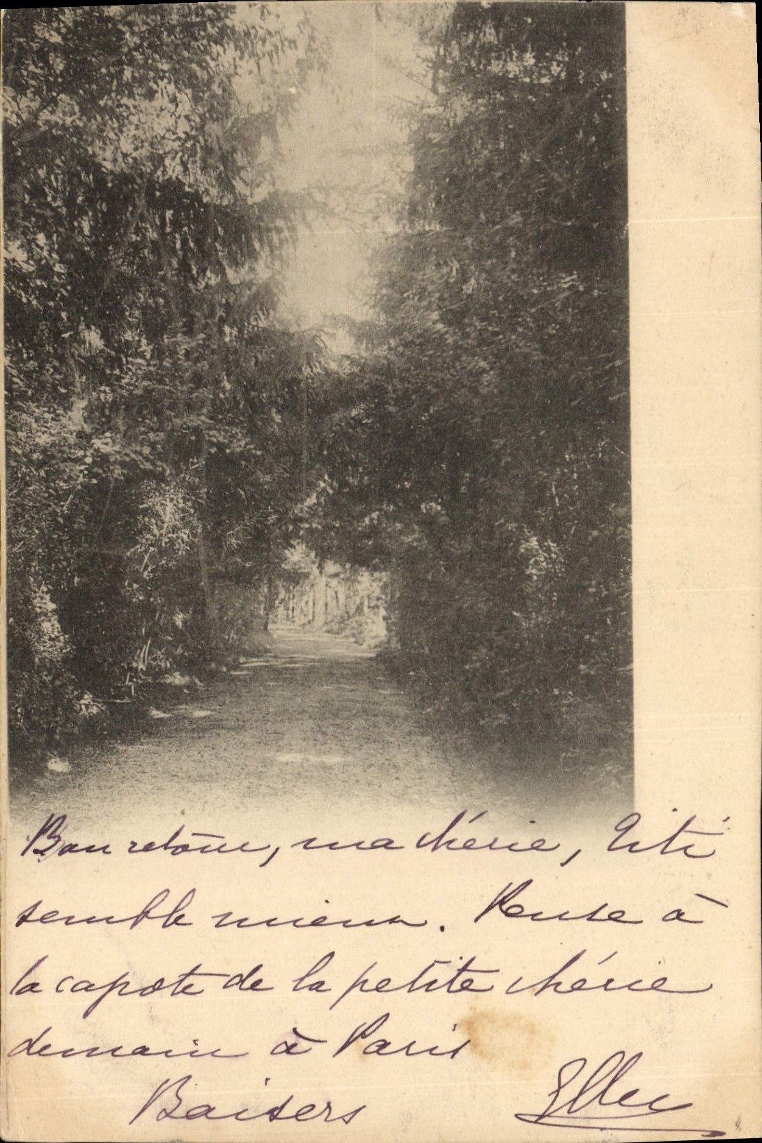 VINTAGE POSTCARD Way in wood