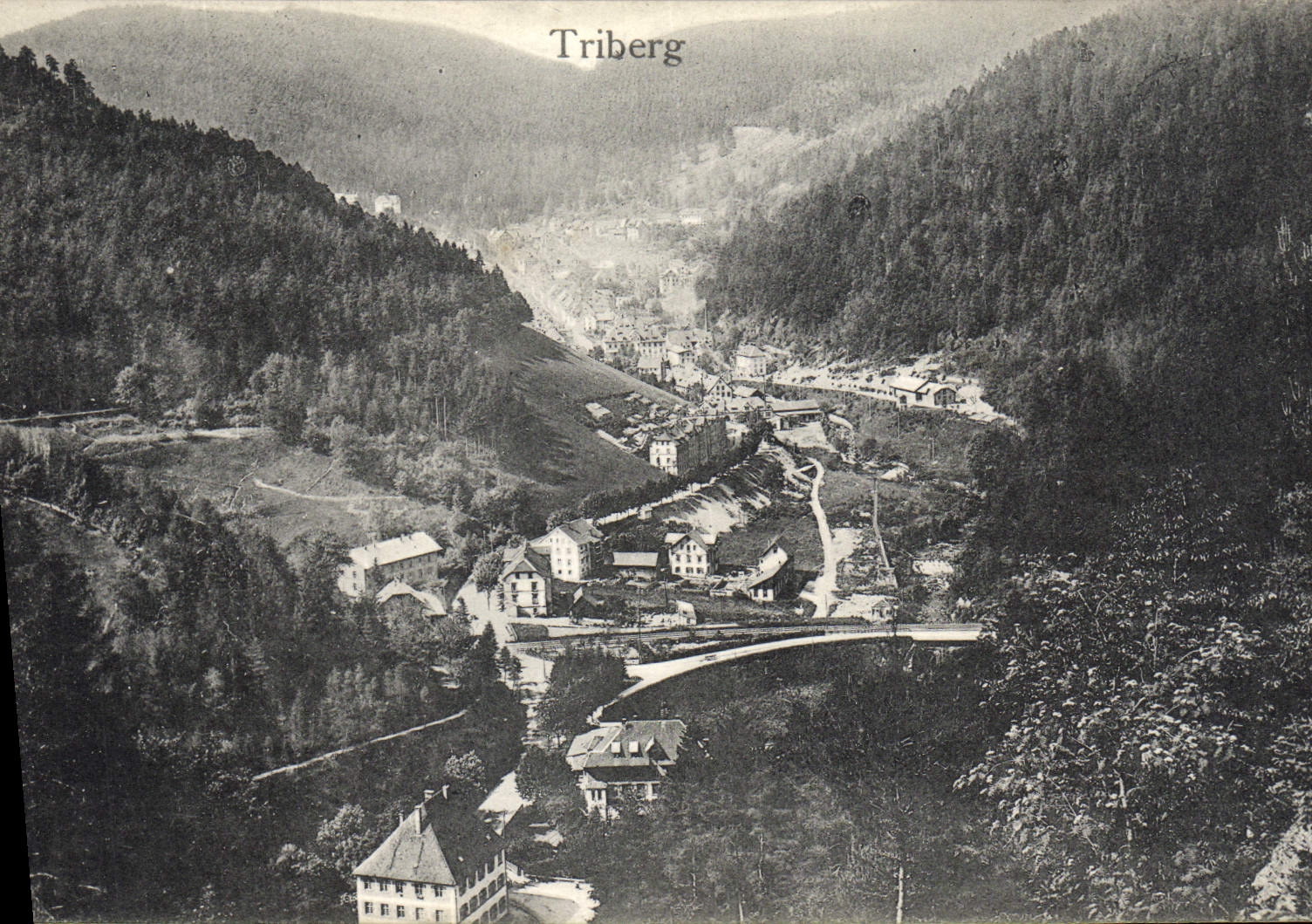 VINTAGE POSTCARD Triberg