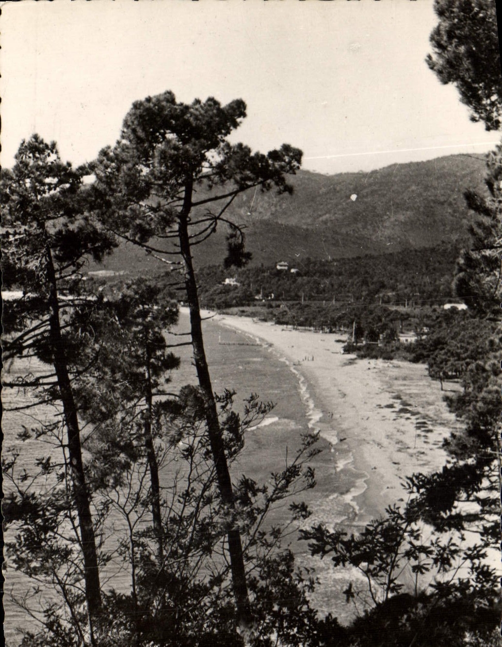 CPM La Corniche des Maures Croix Valmer Echappee sur le Golfe de Cavalaire