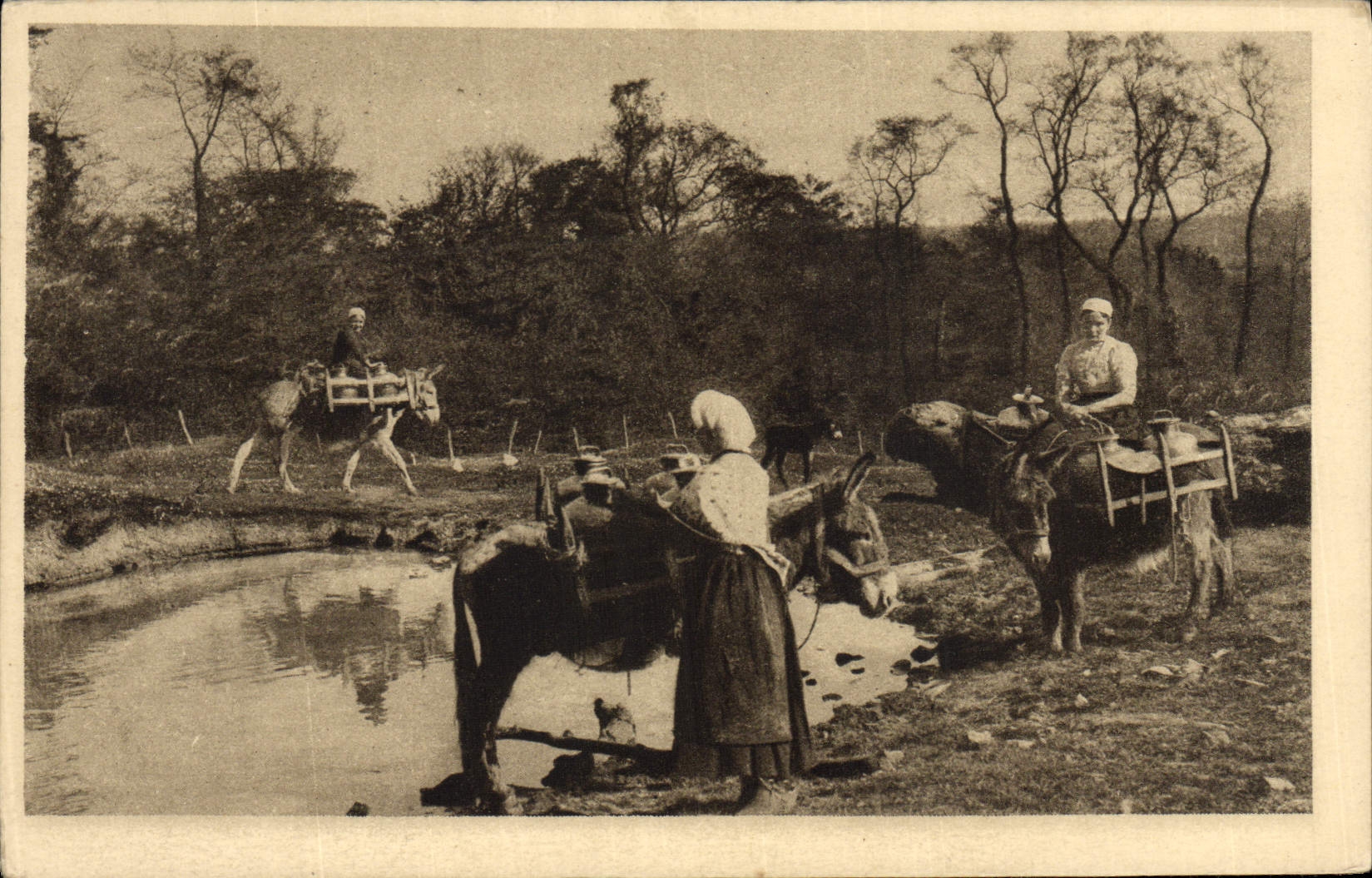 POSTAL de la VENDIMIA nuestro folklore del asno de Laitieres de la leche de Normandía