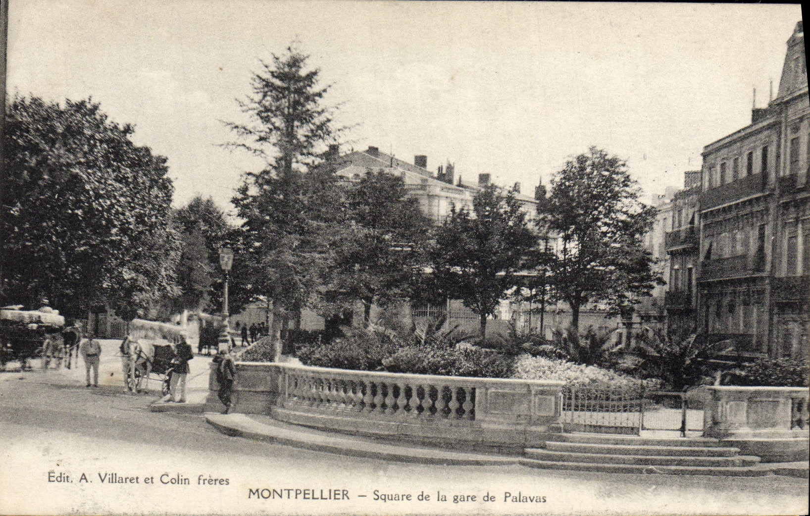 VINTAGE POSTCARD Montpellier Public garden of the Station of Palavas Barouche Horse