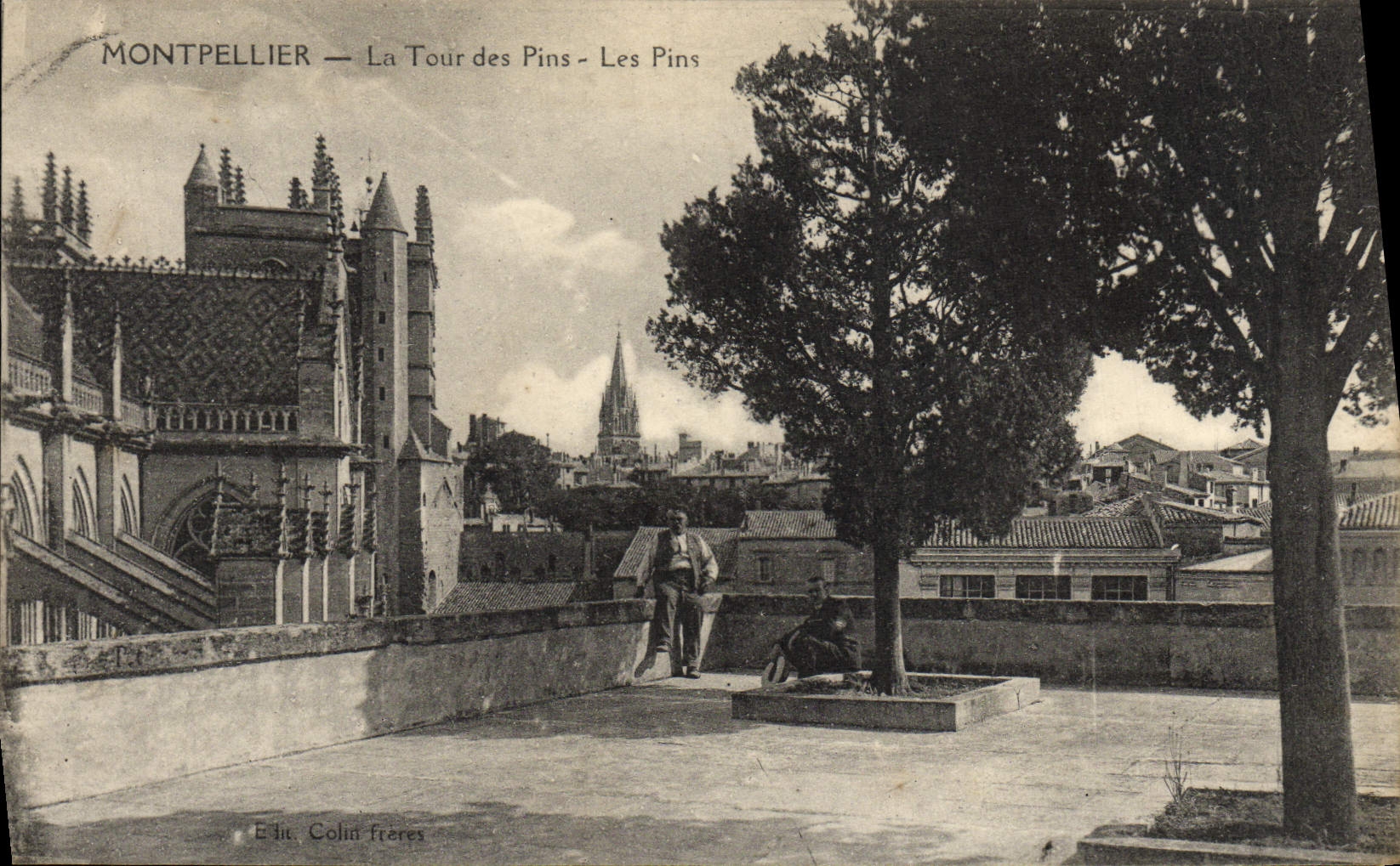 POSTAL Montpellier de la VENDIMIA la torre de los pinos de los pinos