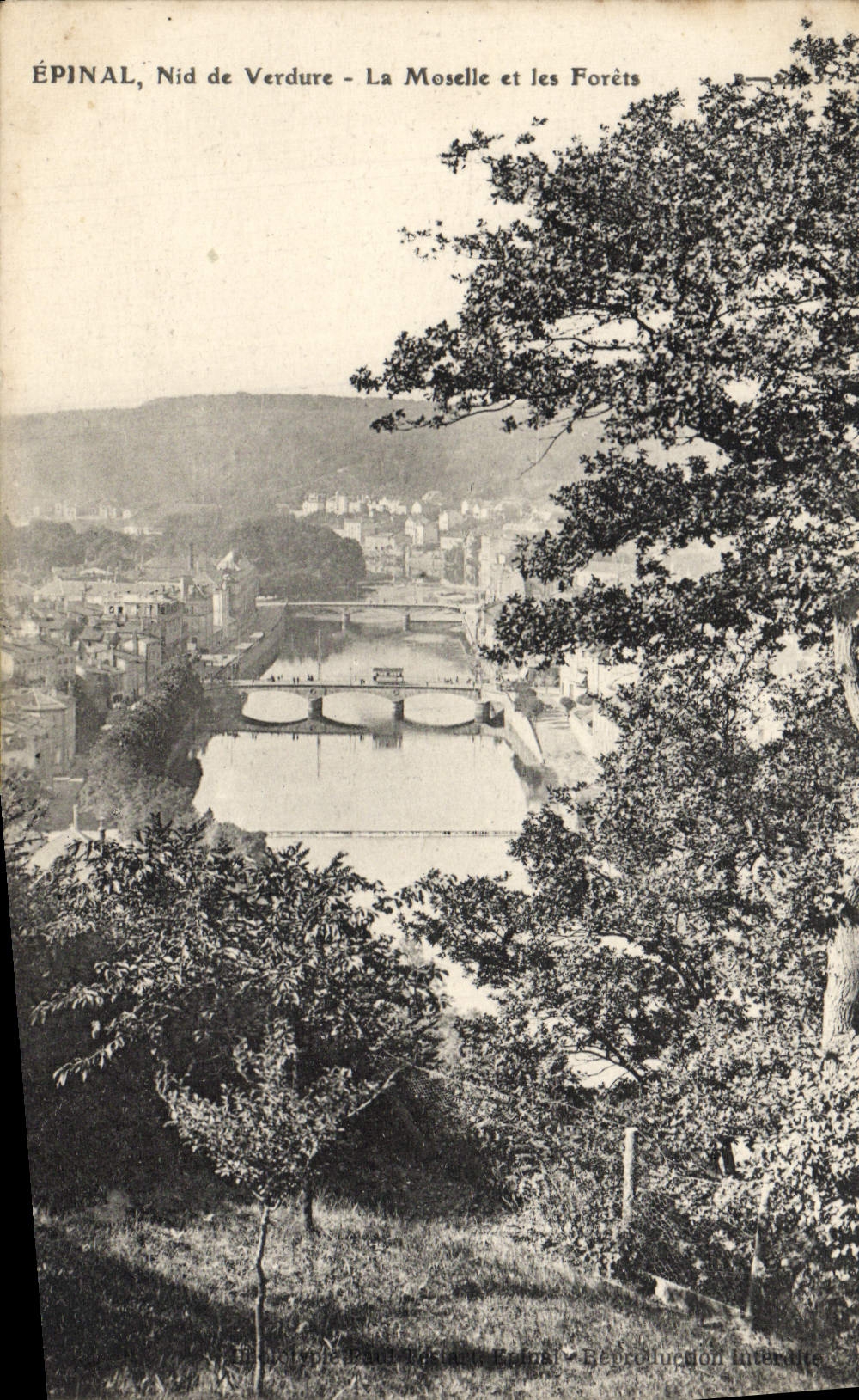 VINTAGE POSTCARD Epinal Nest of Greenery the Moselle and Drills