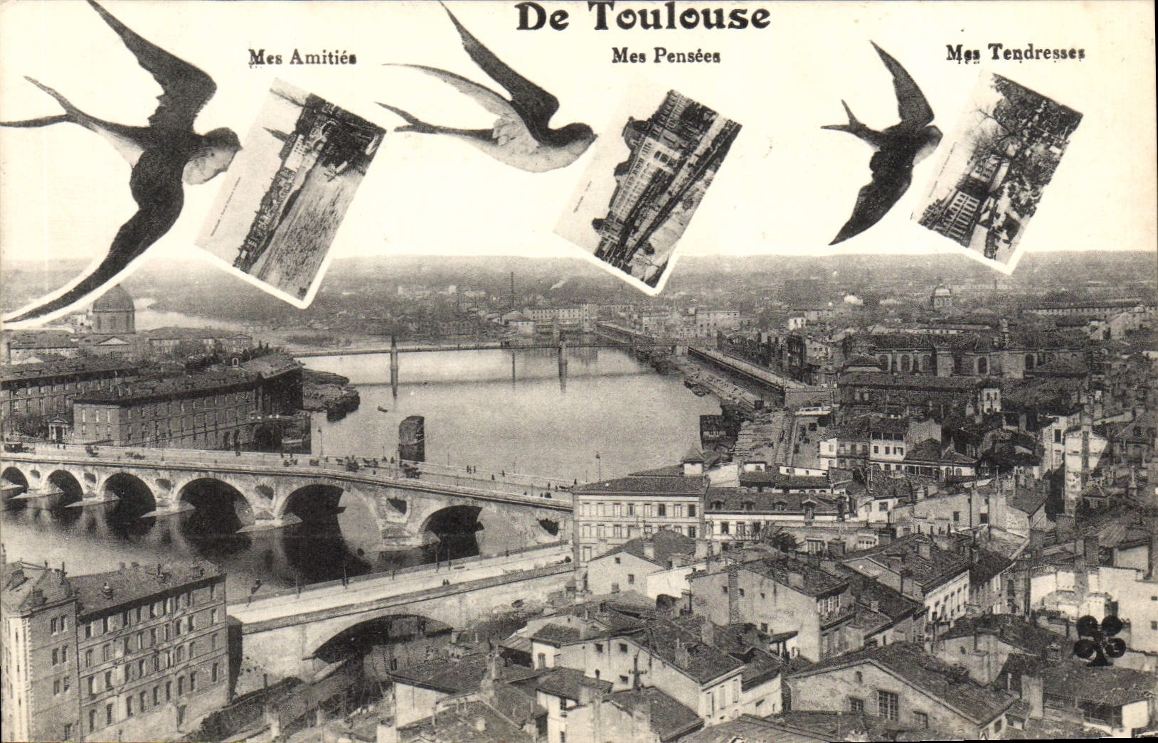 CPA Toulouse Hirondelles