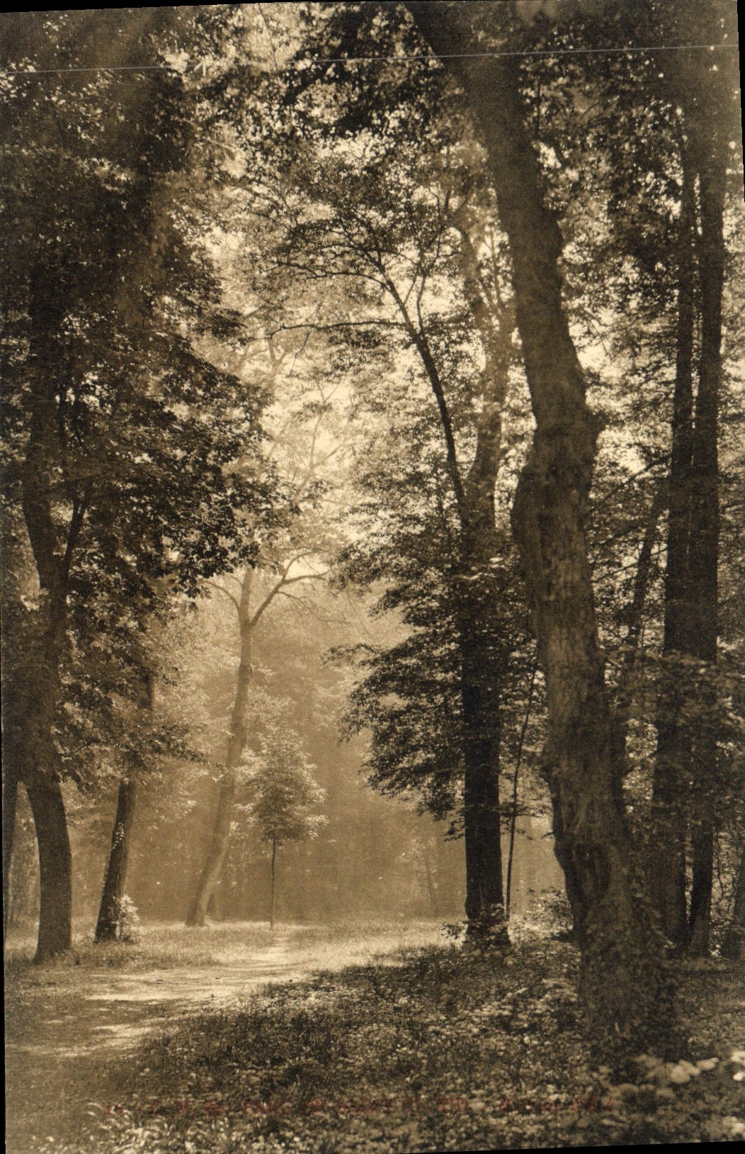 Parque de la POSTAL de la VENDIMIA de nube Saint