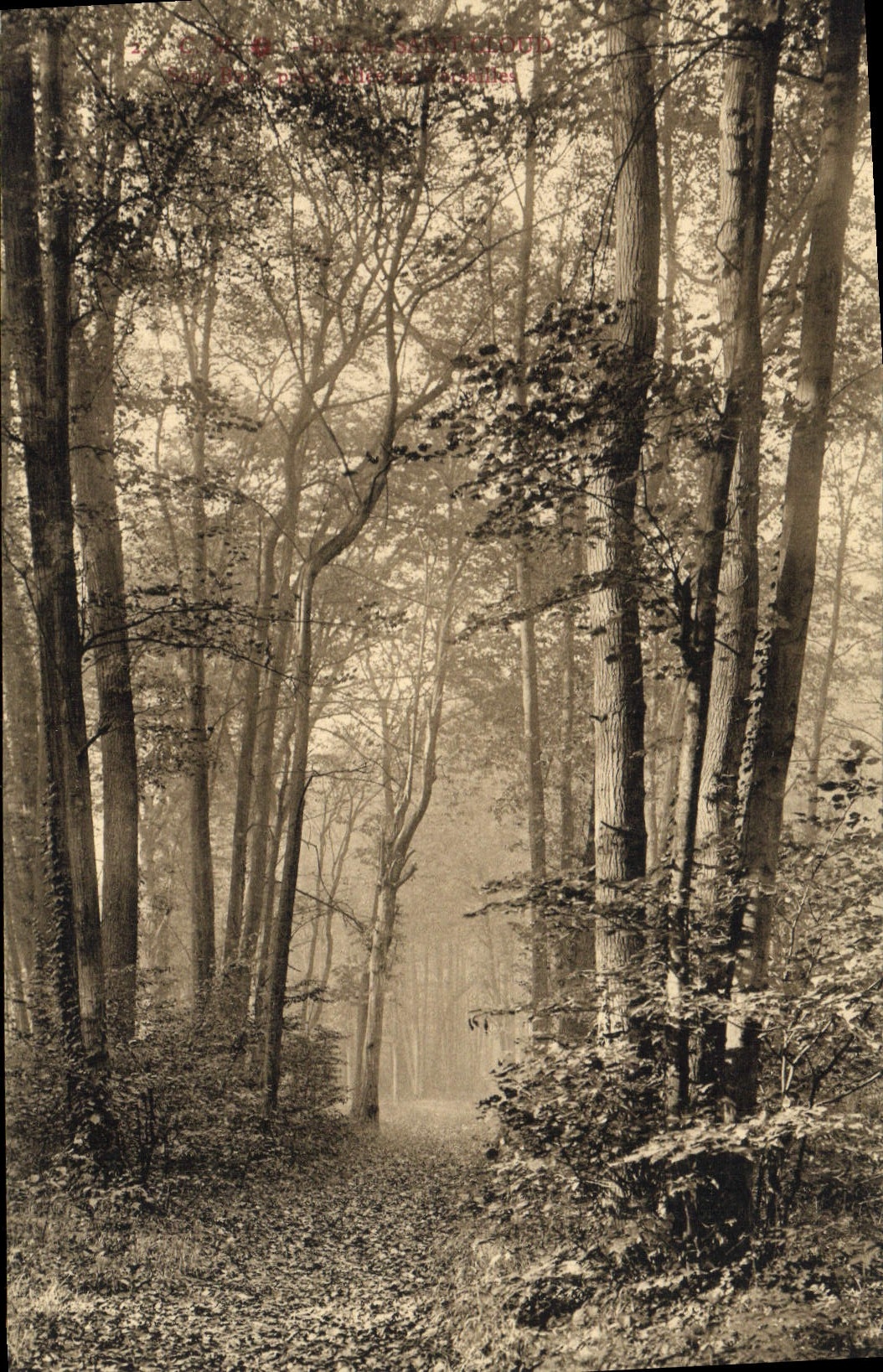 CPA Parc de Saint Cloud